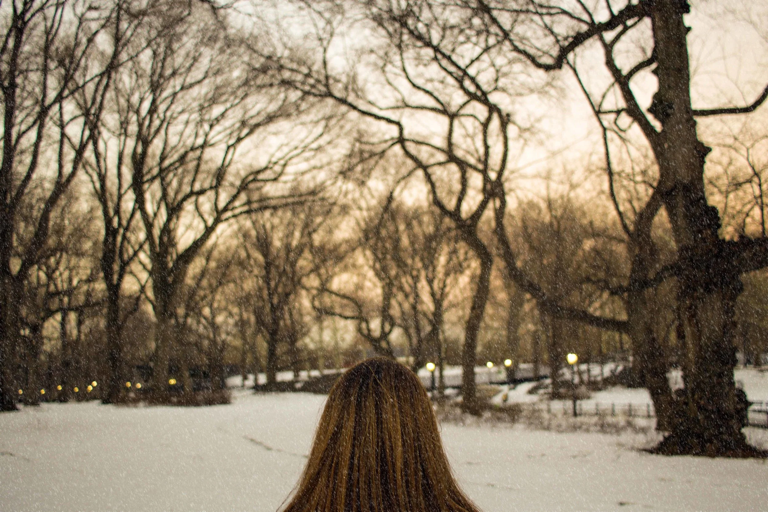 Central Park 2