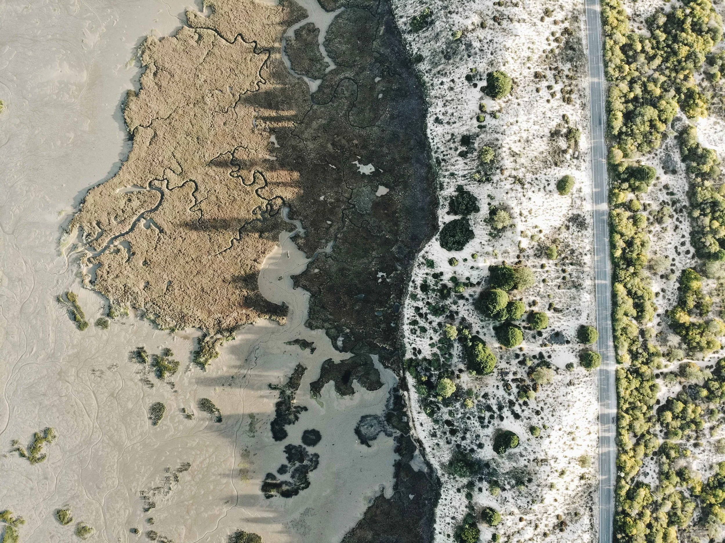 DJI_0246.jpg