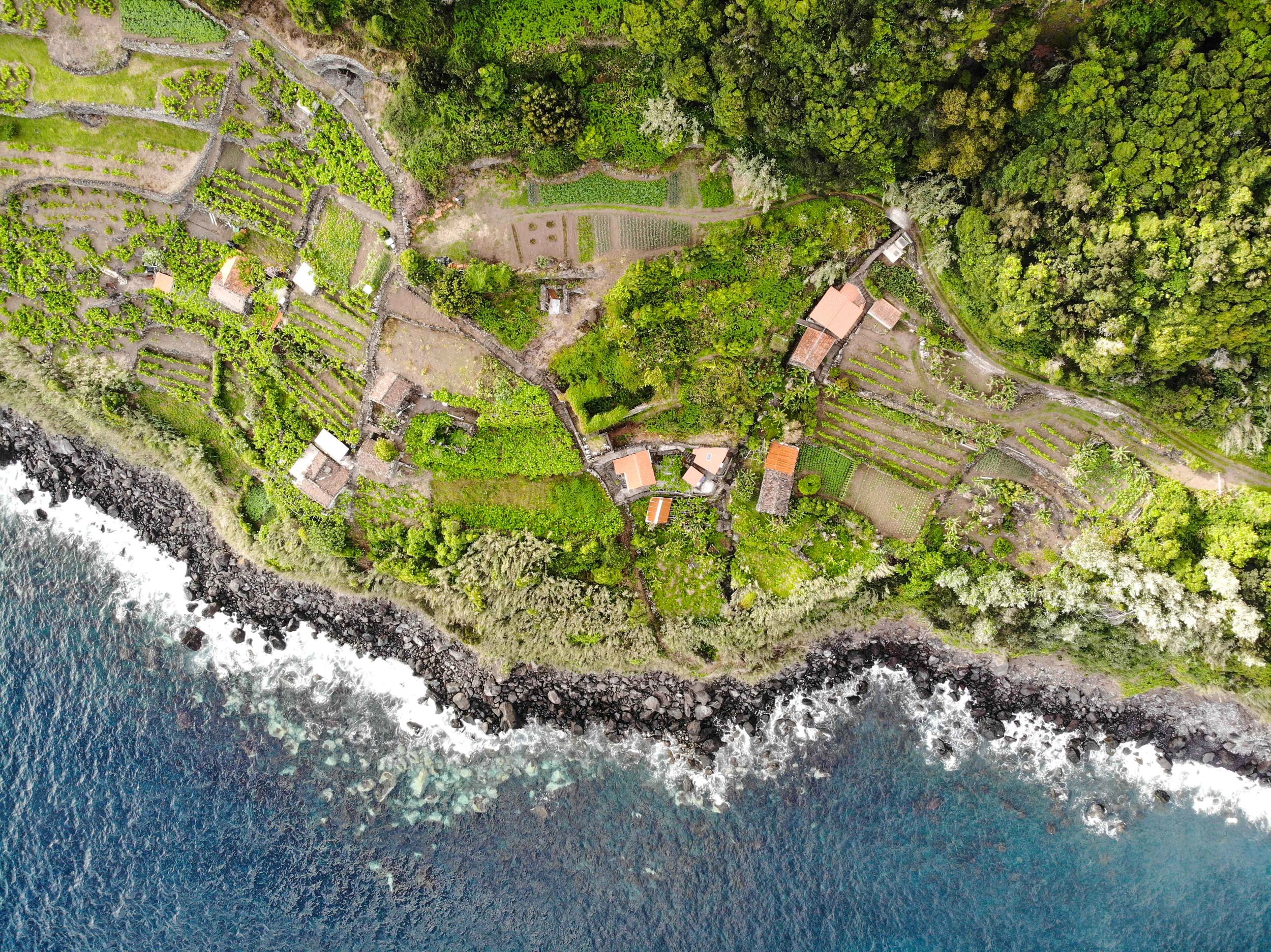 DJI_0351.jpg