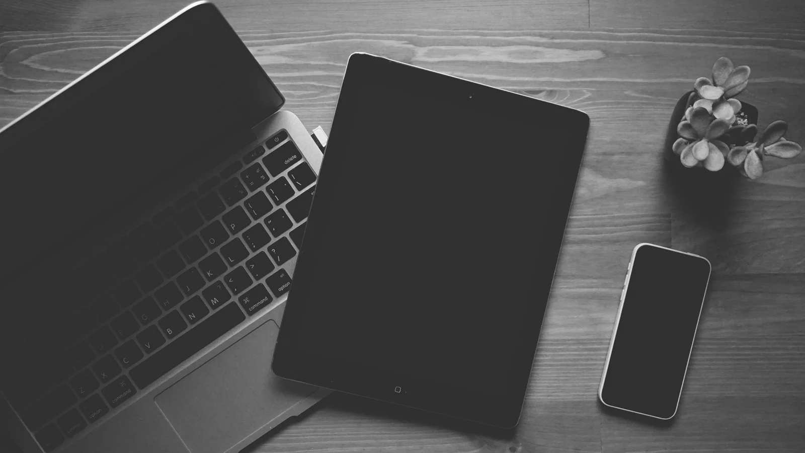 laptop-ipad-organic-natural-159643.jpeg