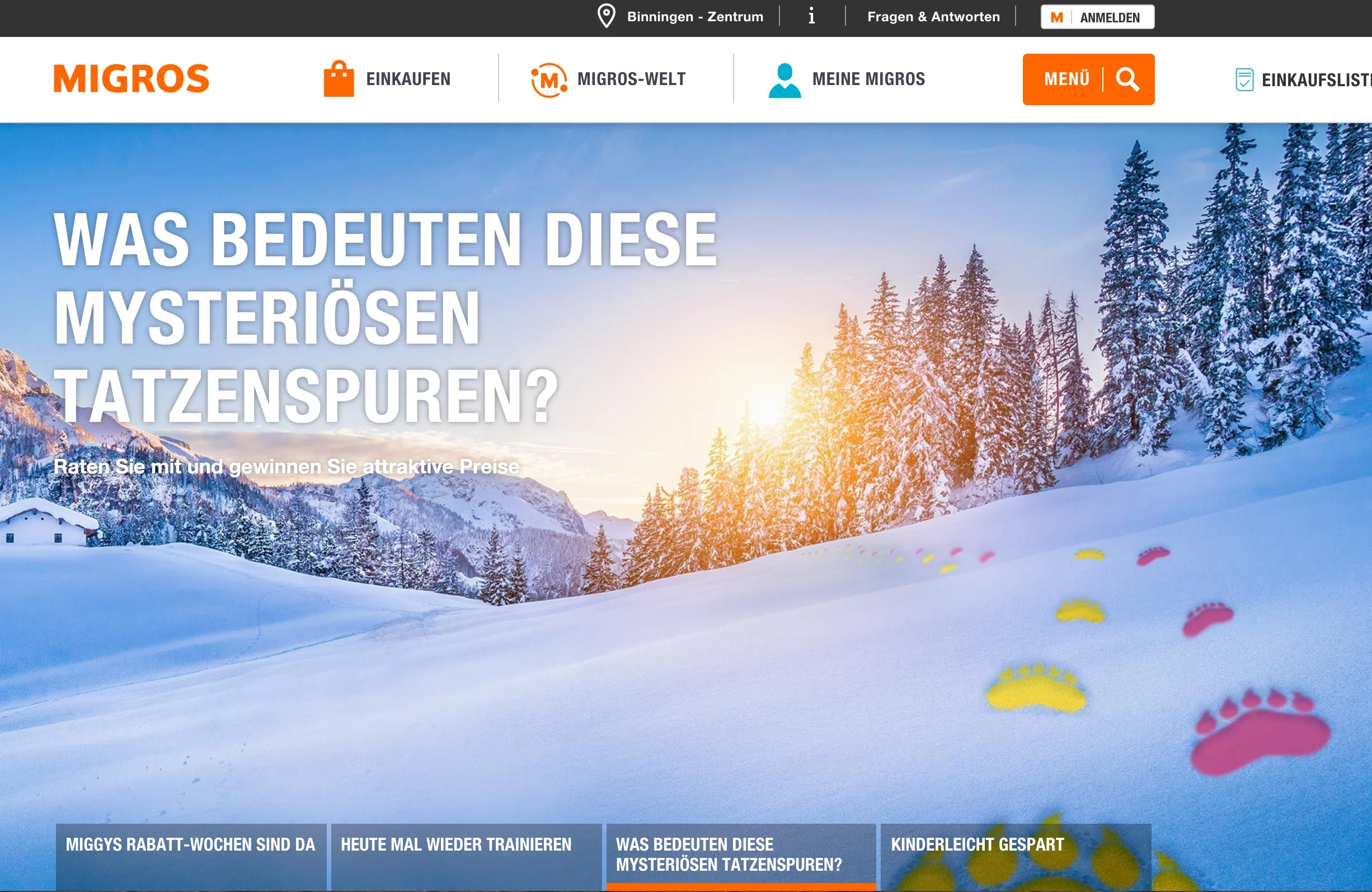 Corporate website