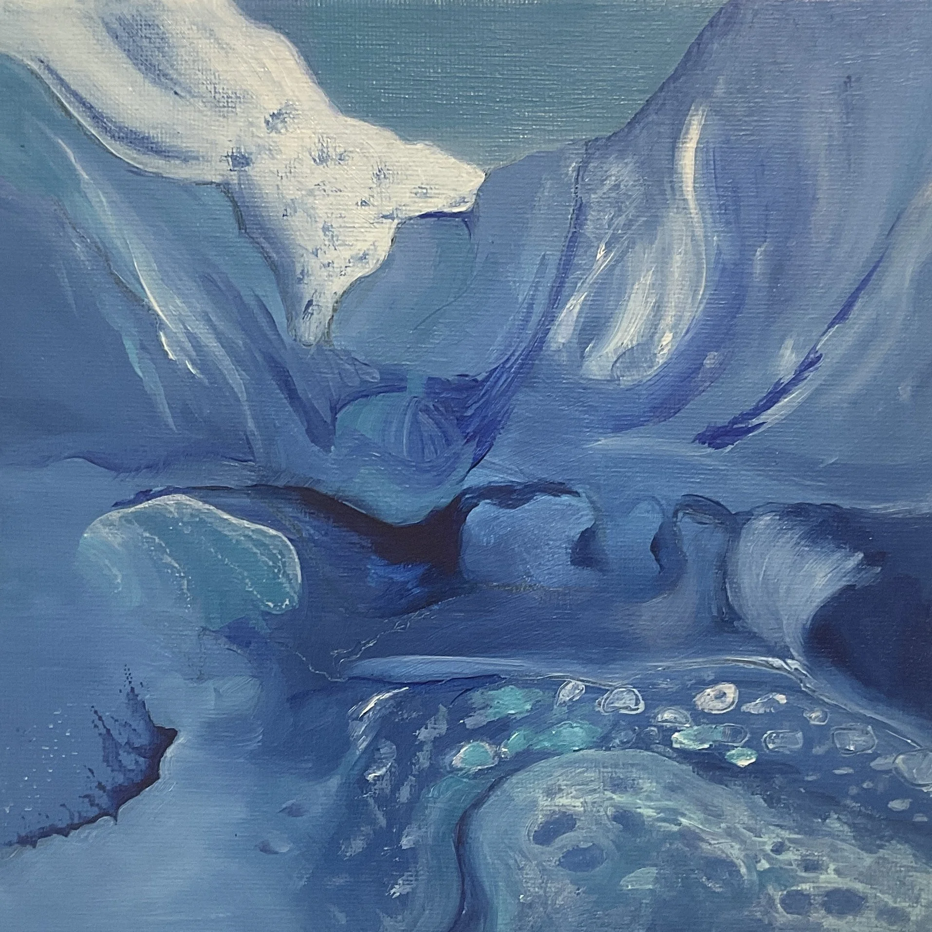 WalkOnTheGlacier-460.jpg
