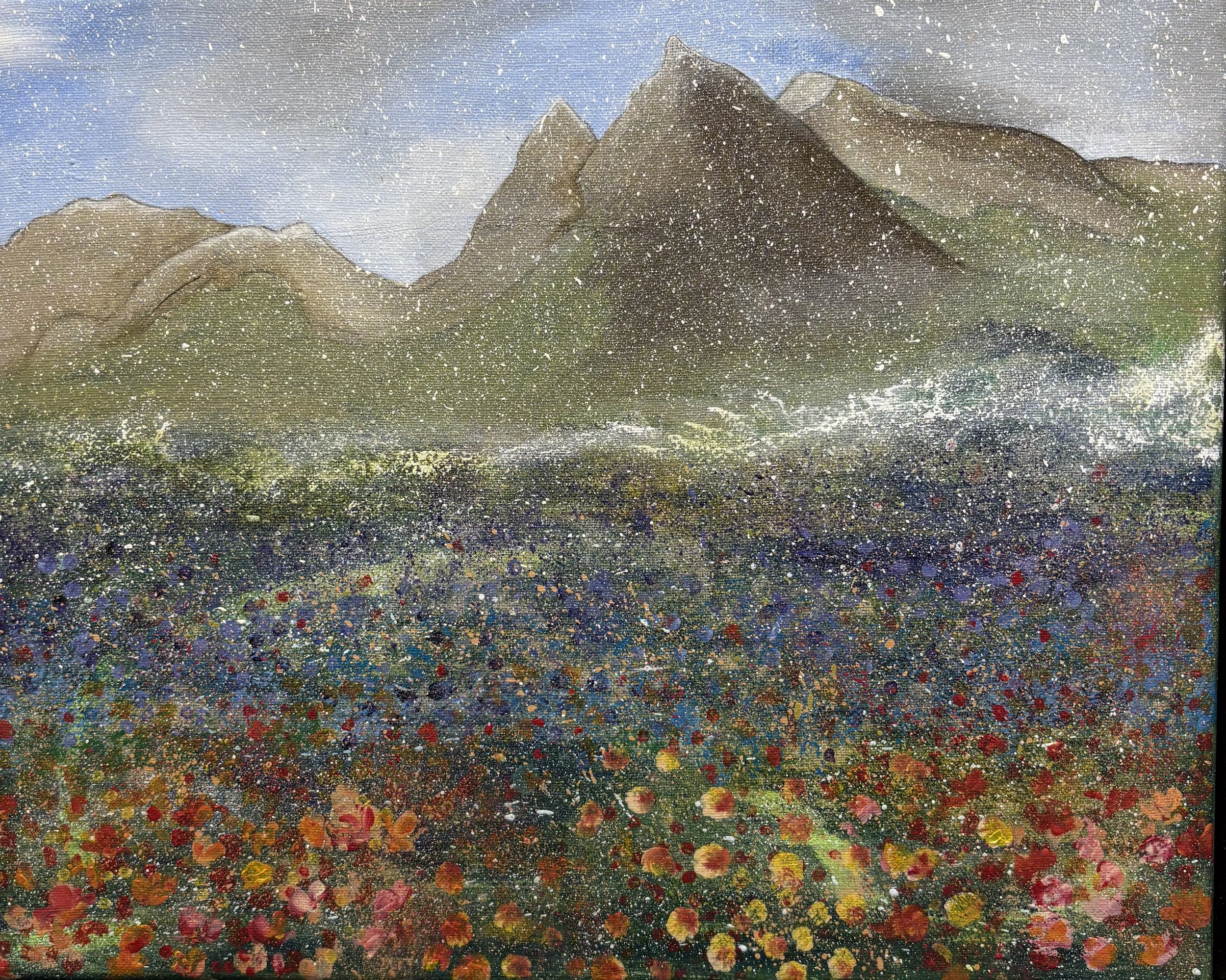 IcelandicPoppyField-508.jpg
