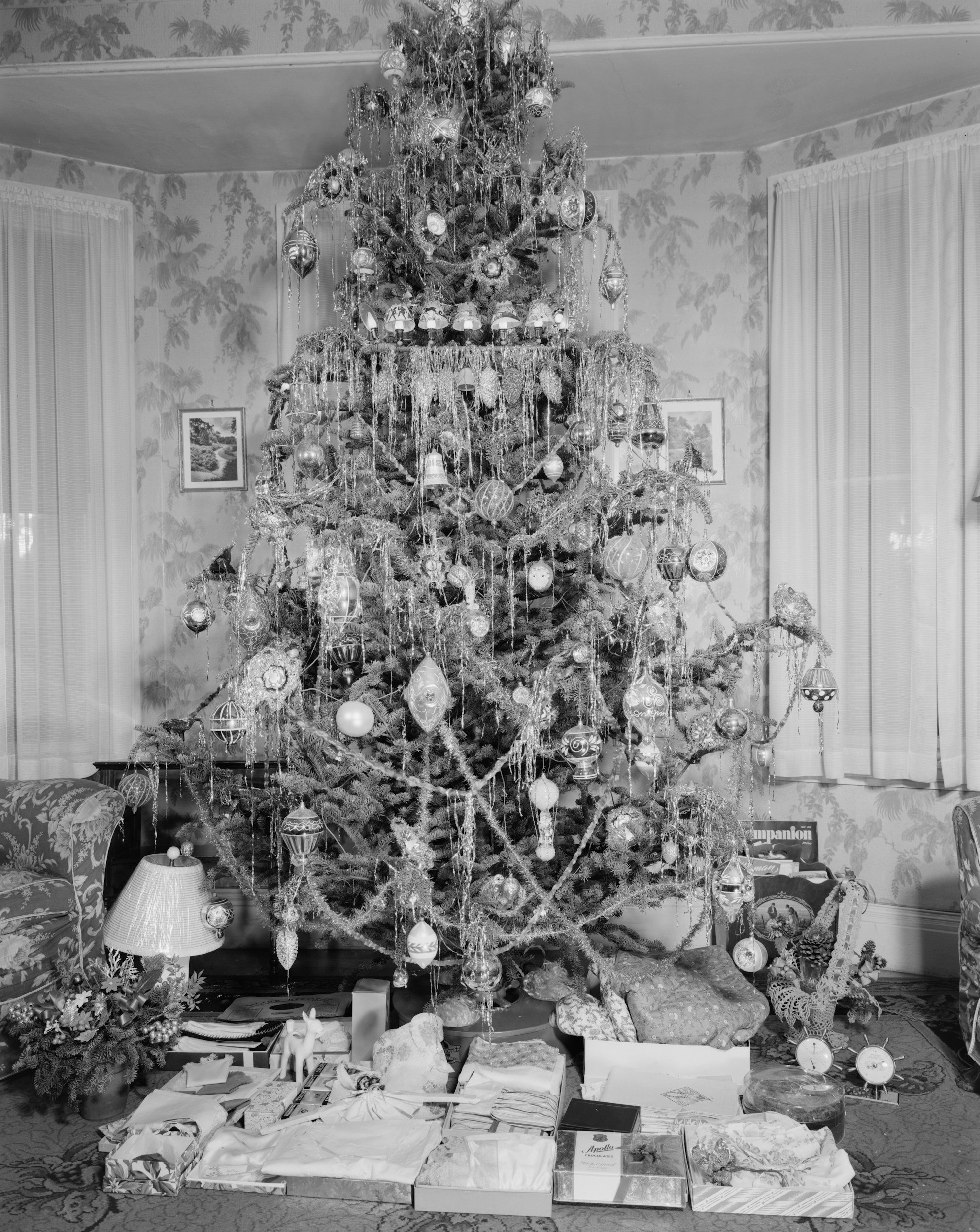 Frosty Fun: A Holiday Display