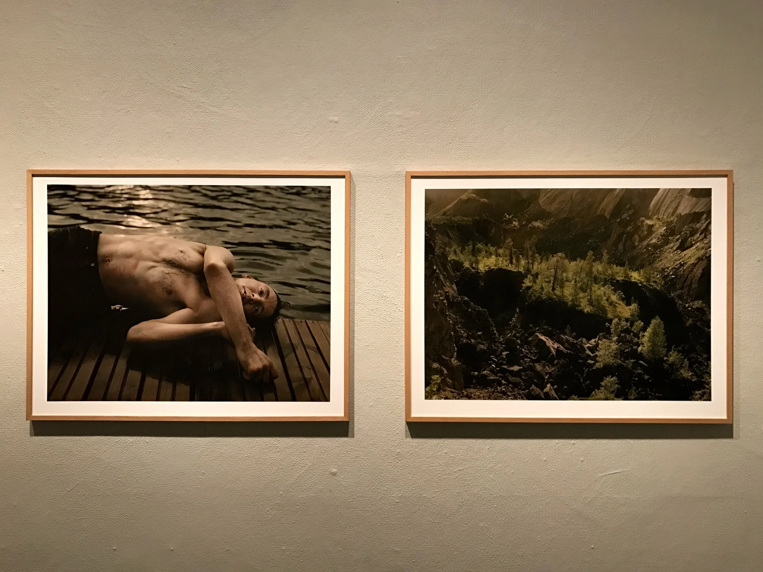 Elis Hoffman: Fading