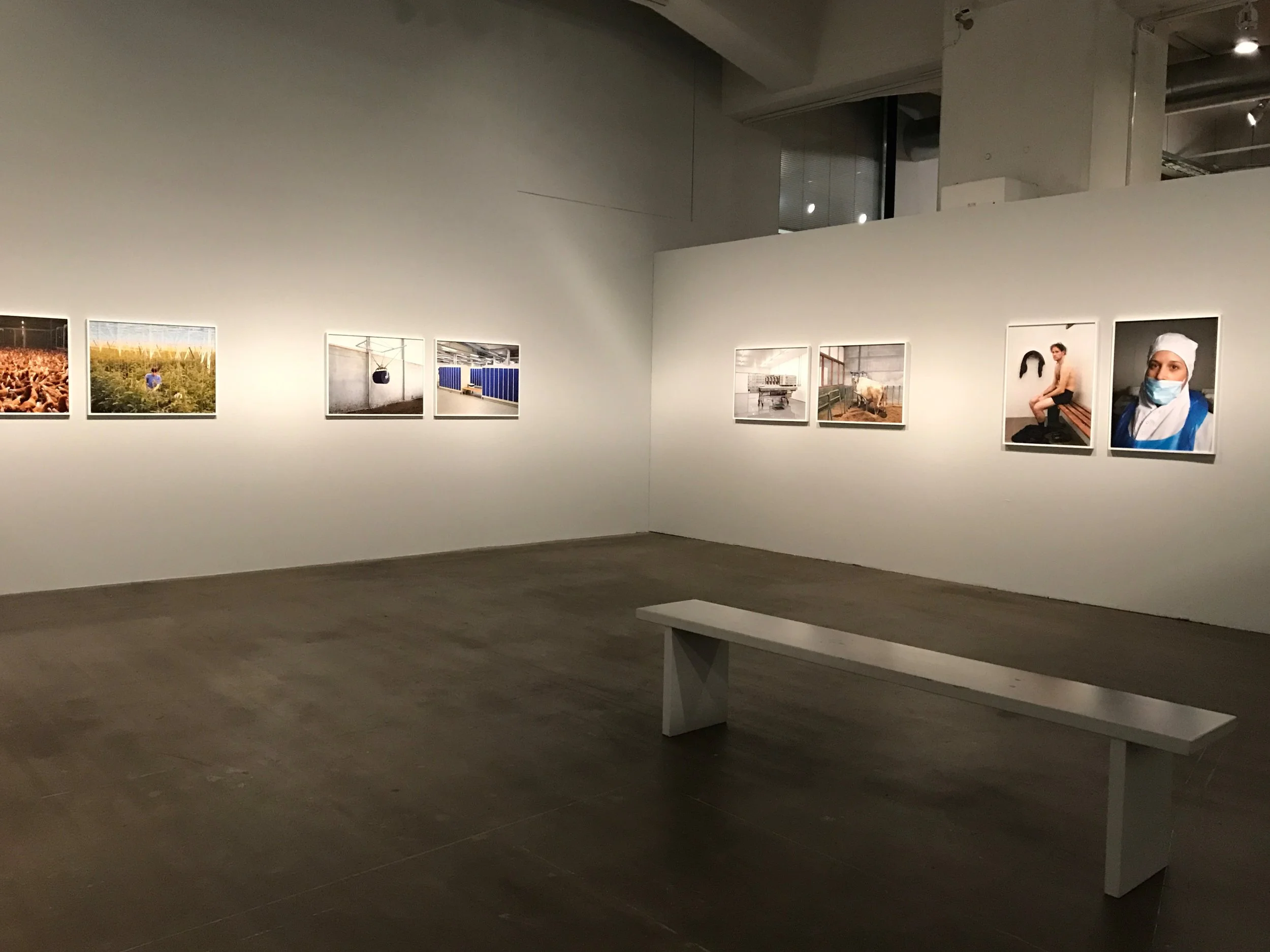 Henk Wildschut: Food (2011-2013)