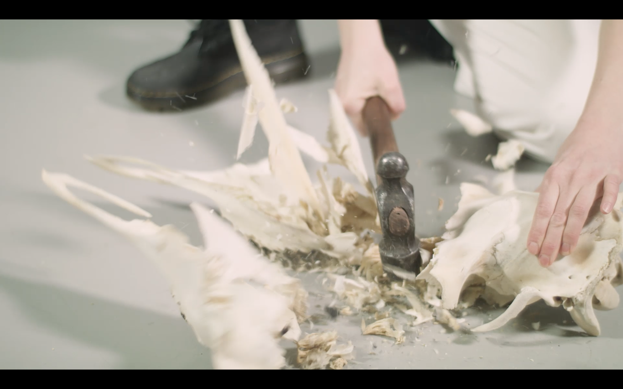 Harriina Räinä: Hunted (still-kuva videosta, kesto 5:00), 2018