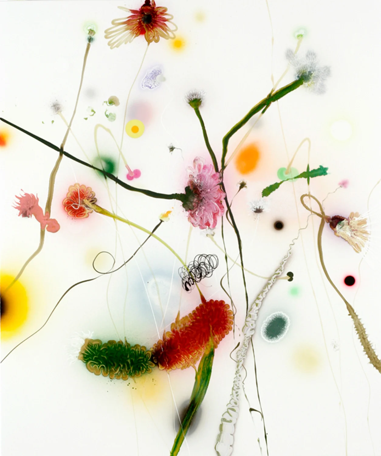 Thierry Feuz
