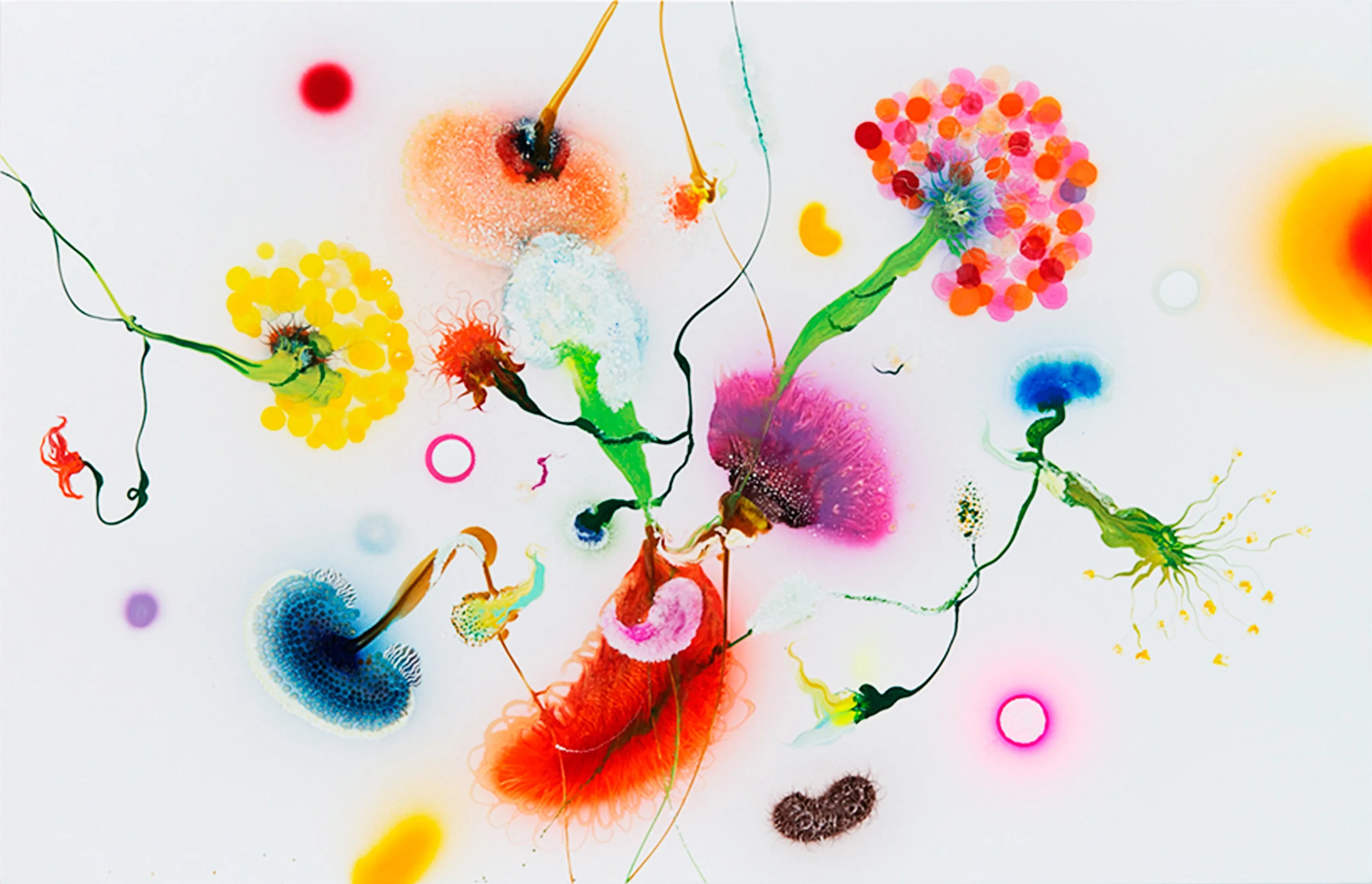 Thierry Feuz