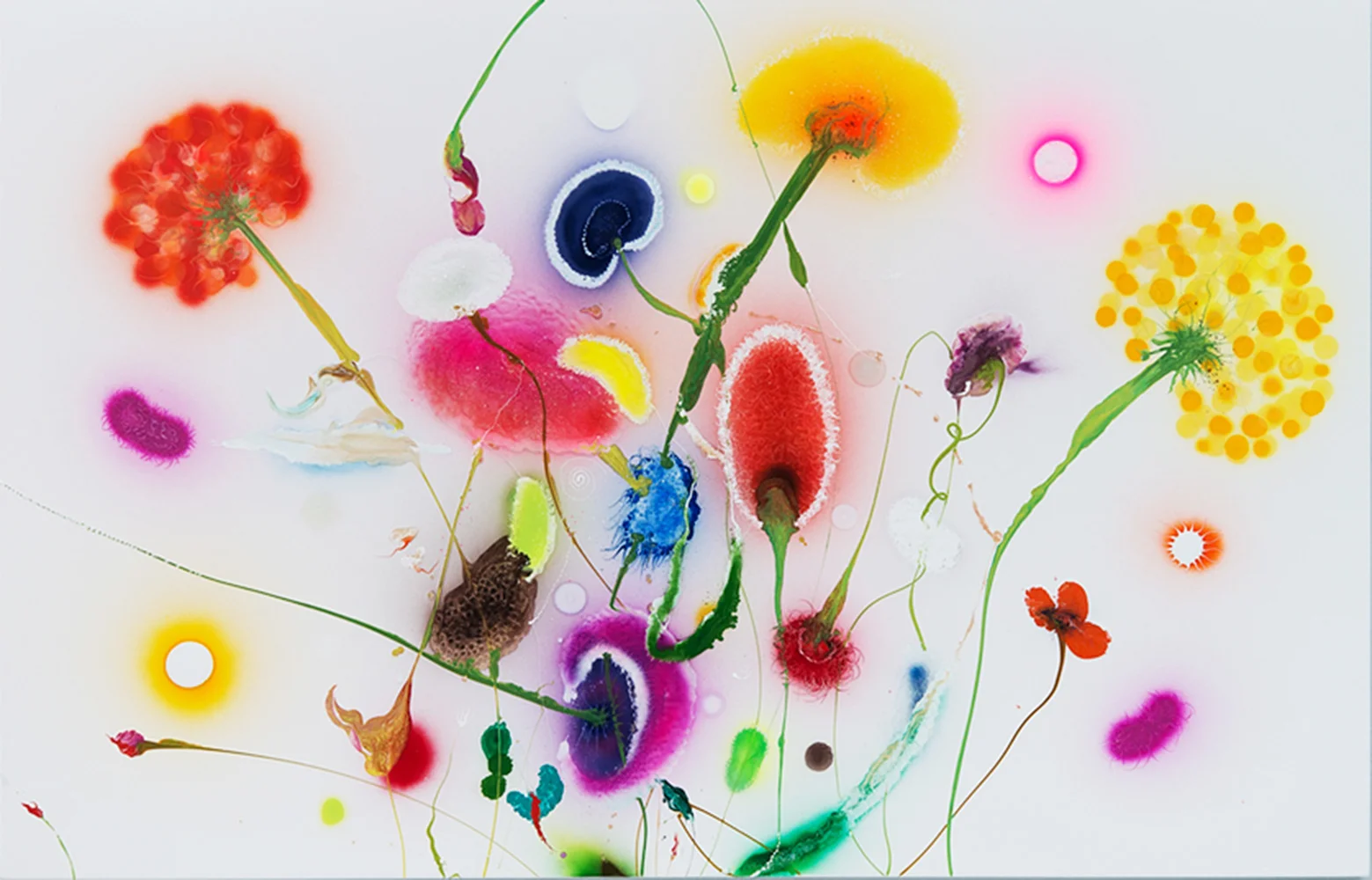 Thierry Feuz