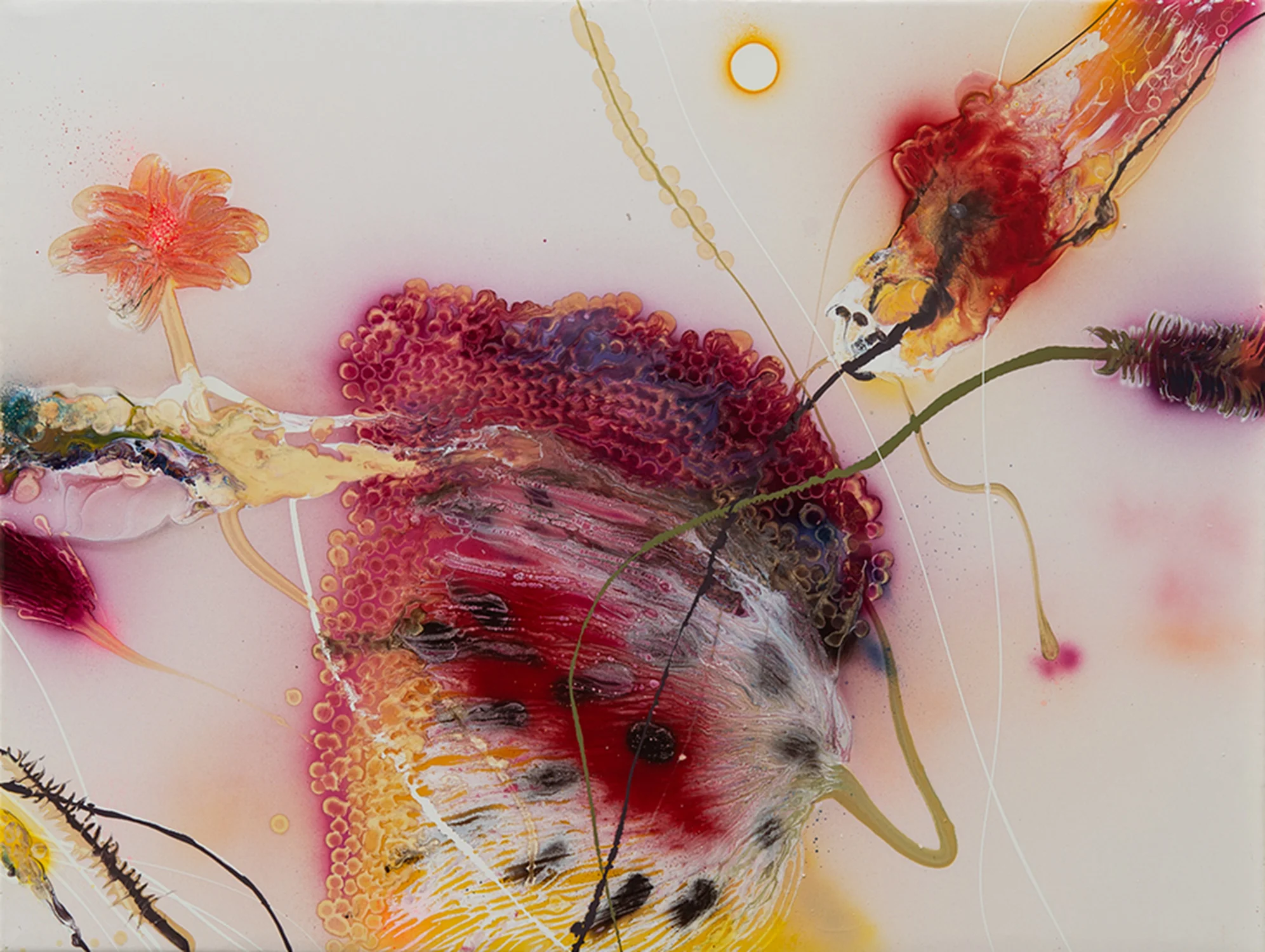 Thierry Feuz