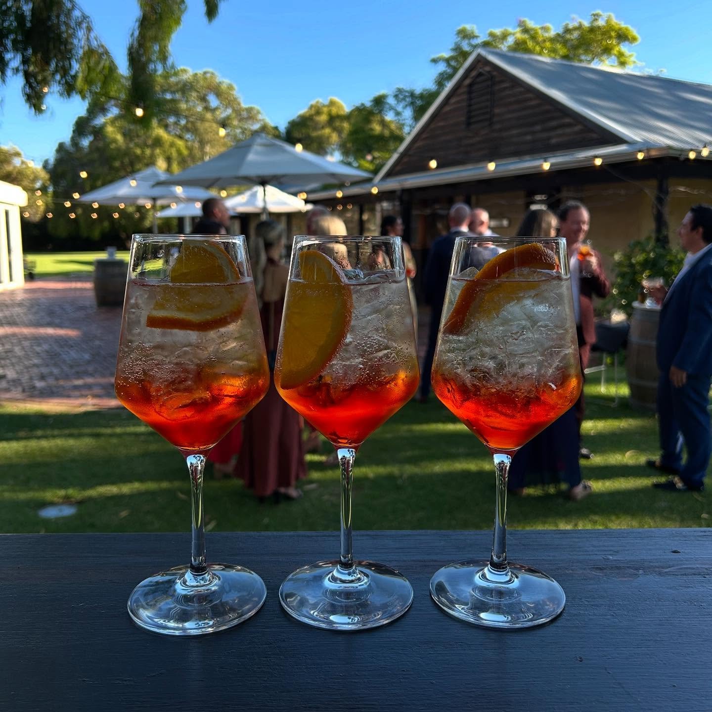 Tres Aperol, per favore ~

#spritz #aperolspritz #summercocktails #cocktails #hivecaravanbar #hiveweddings #thehive #barhire #mobilecaravanbar #waweddings #wawedding #waeventhire #eventhire #southwestweddings #margaretriverweddings #busseltonweddings