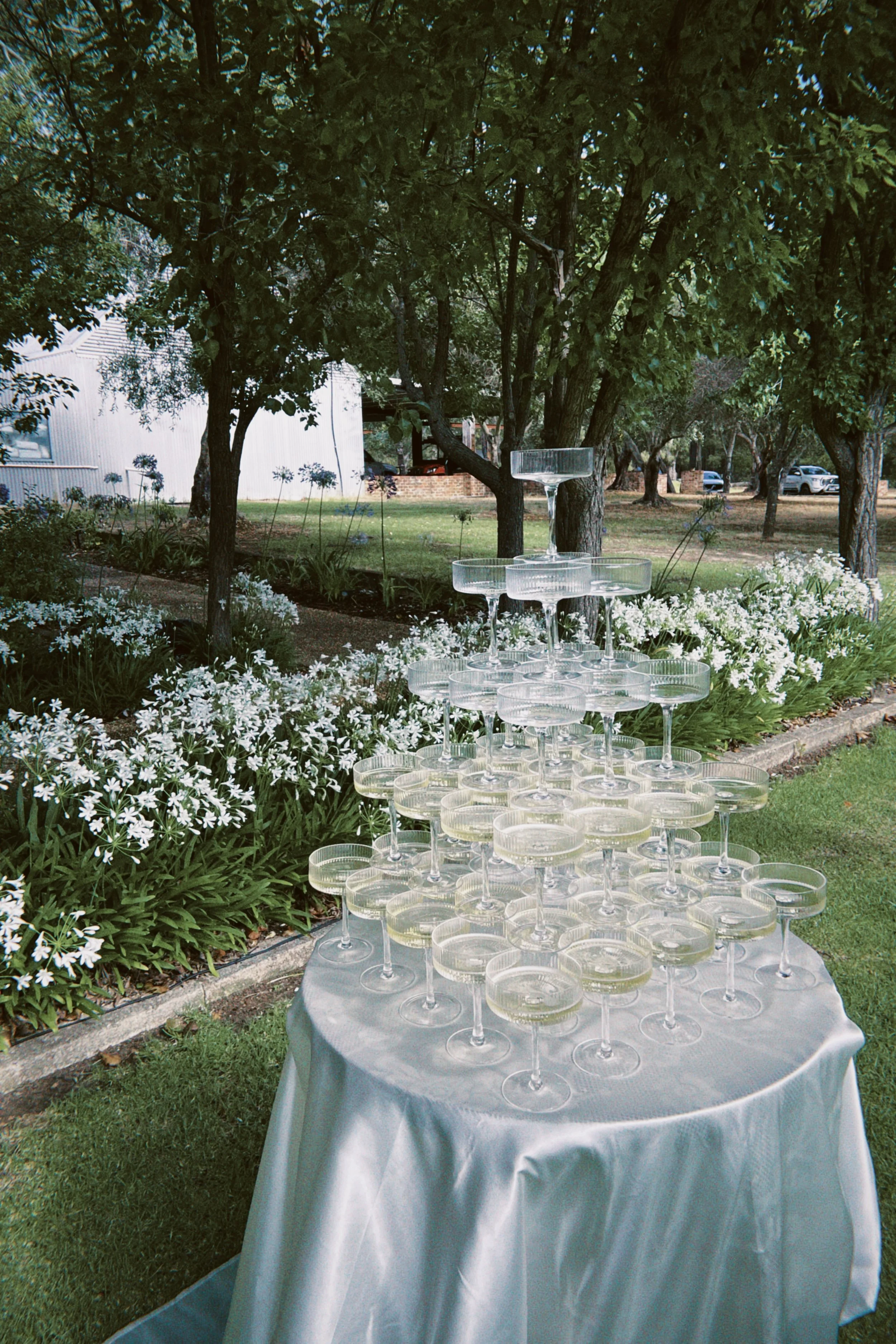 A round table covered with a white tablecloth in a garden, with a pyramid of champagne glasses on top, surrounded by blooming white flowers and green trees.