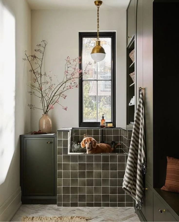 Built-in dog washing station with raised bath and dark tiled walls — utility room design ideas for pet owners