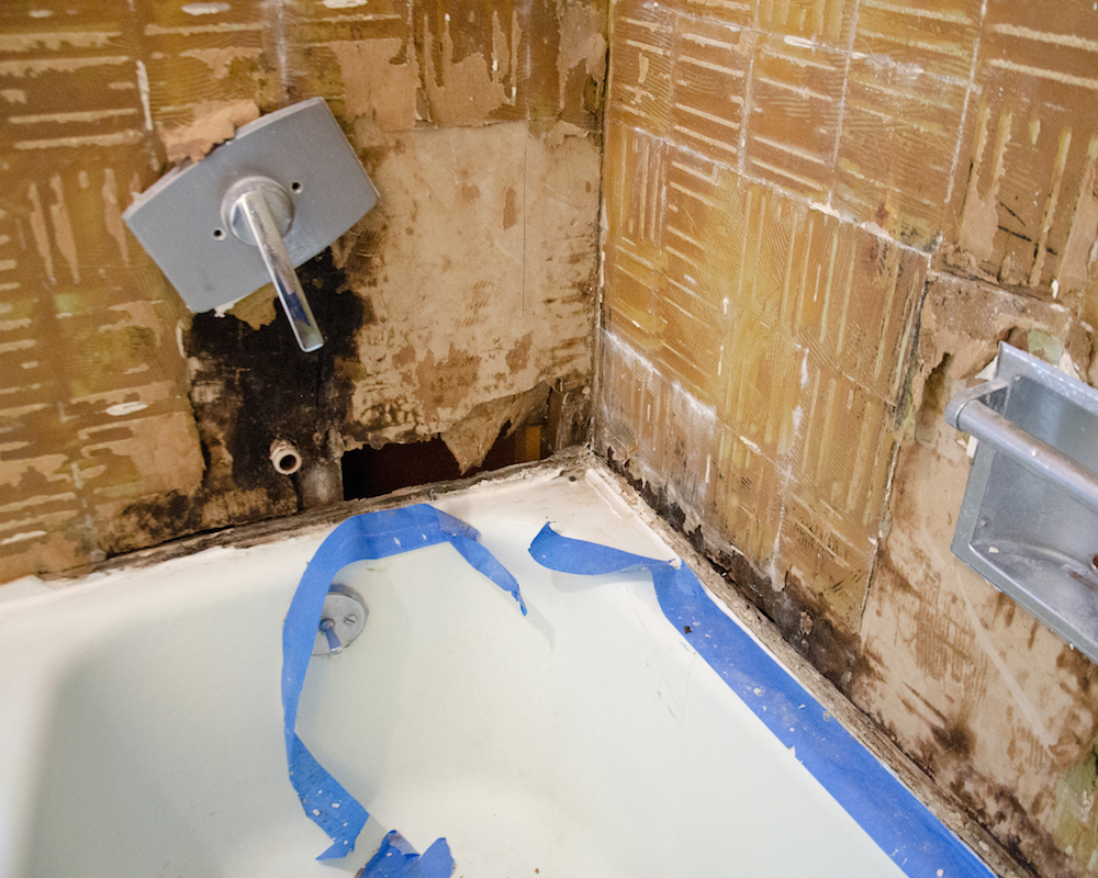 The trouble spot, and where our shower was leaking like crazy. Look at all that mold and rot!