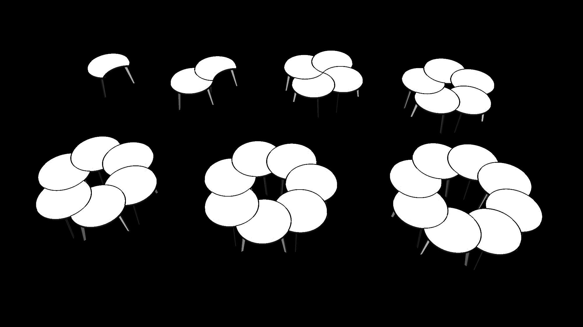 clover6.jpg