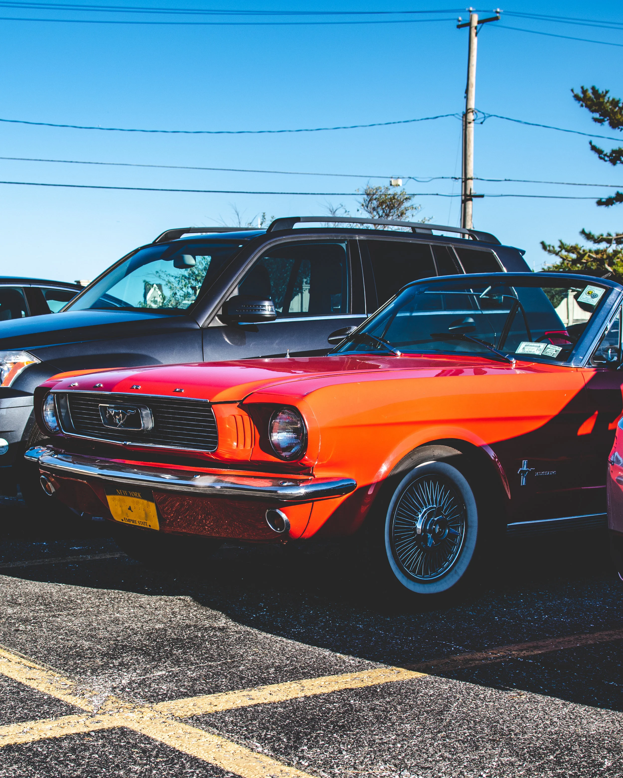 Mustang_IG.jpg