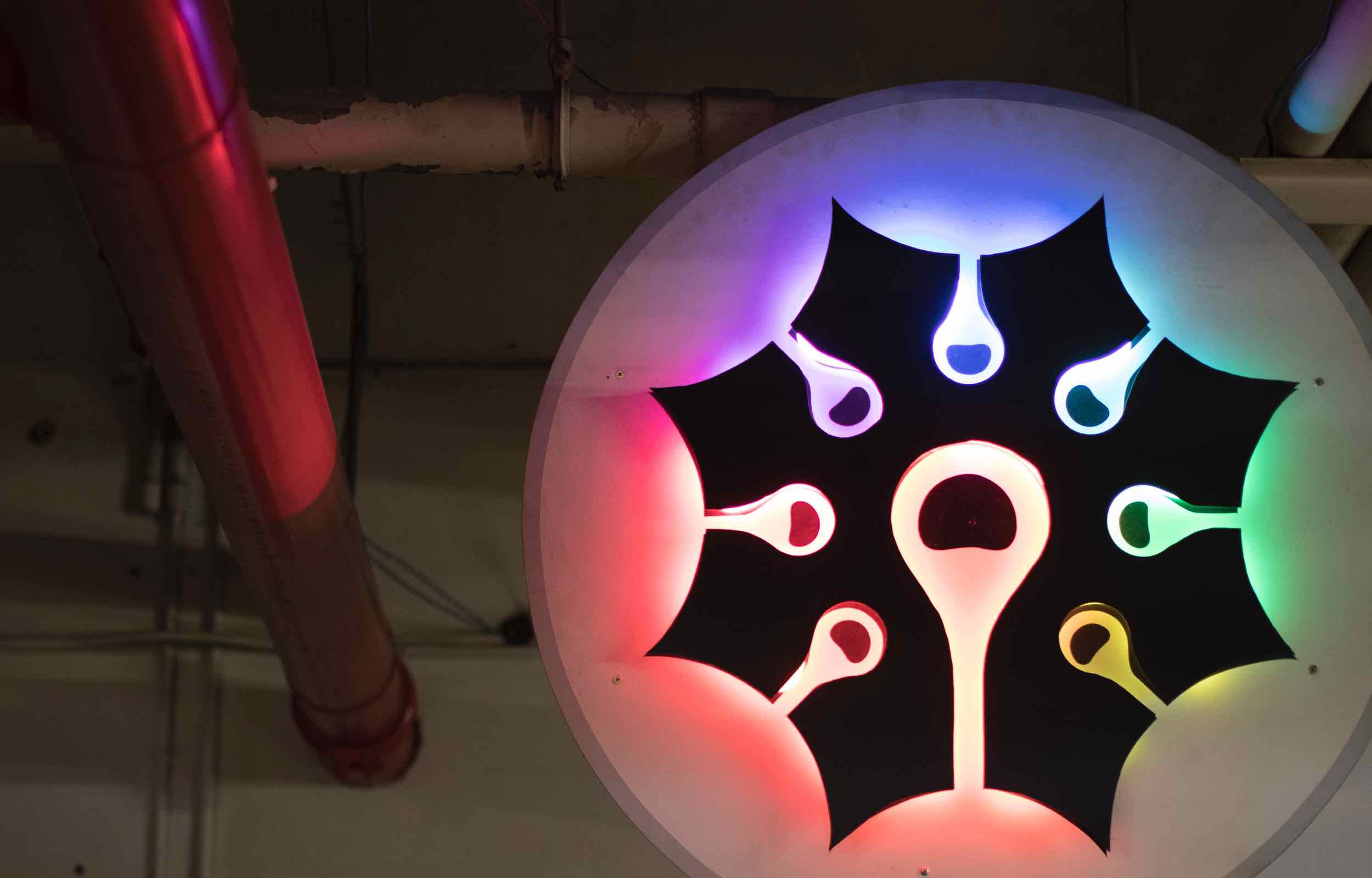 about-foci-banner-neon-light.jpg