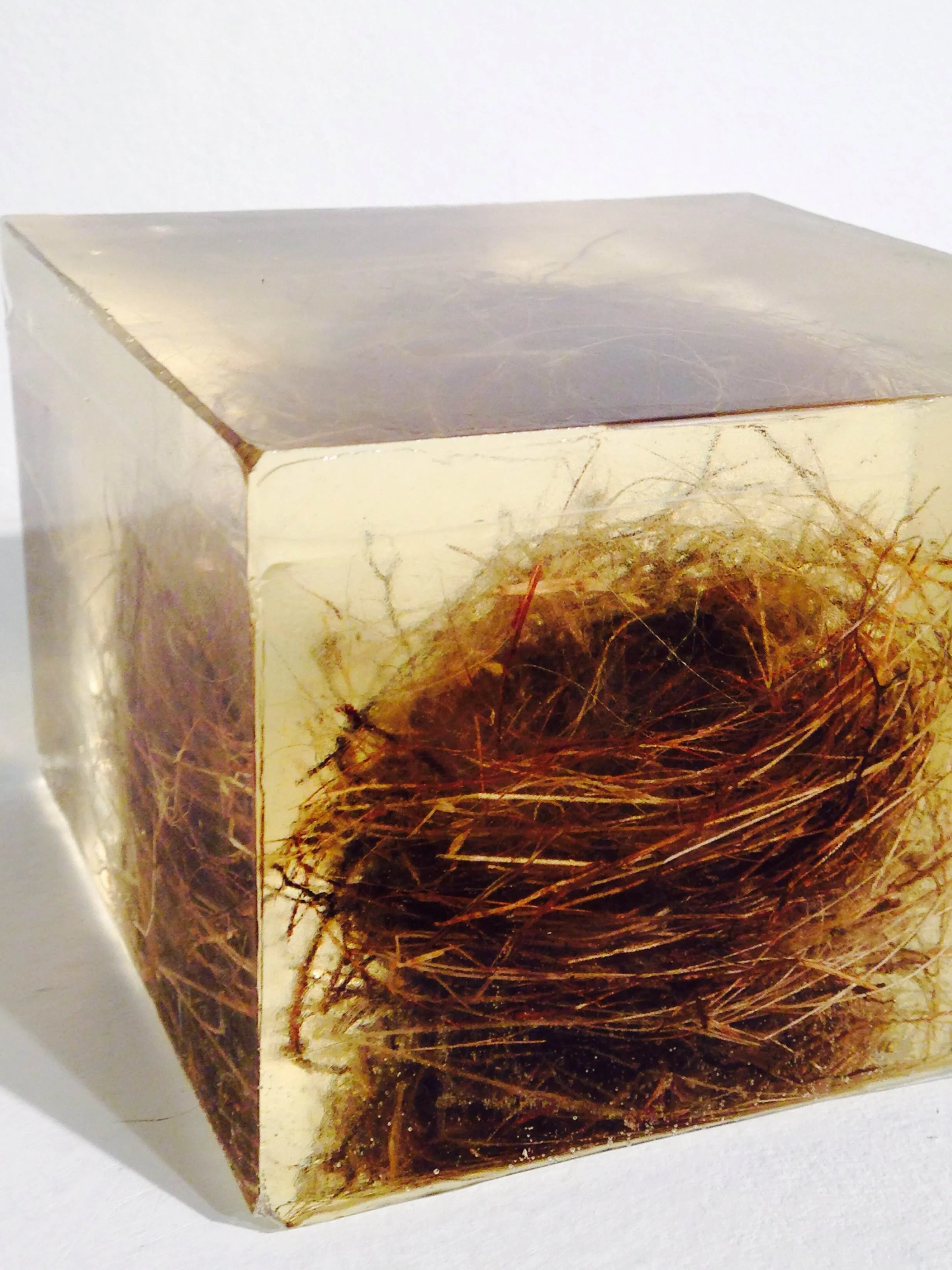 Born of Fire: Selections from Foci MCGA