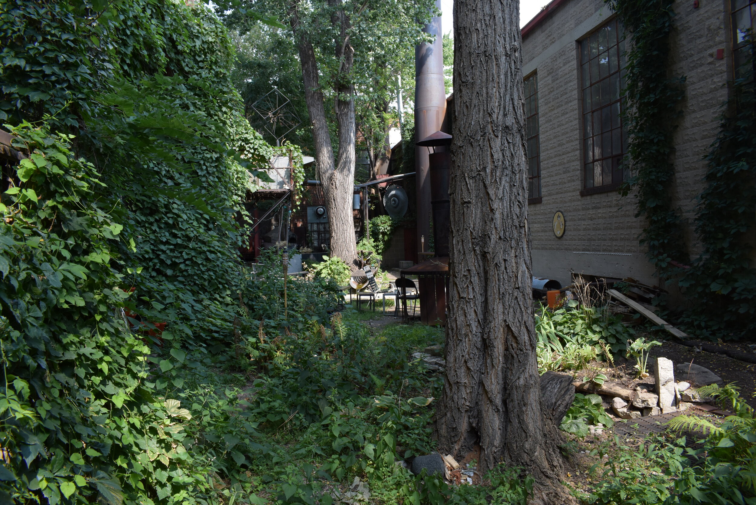  The Grotto - an enclosed outdoor area where artists gather. 