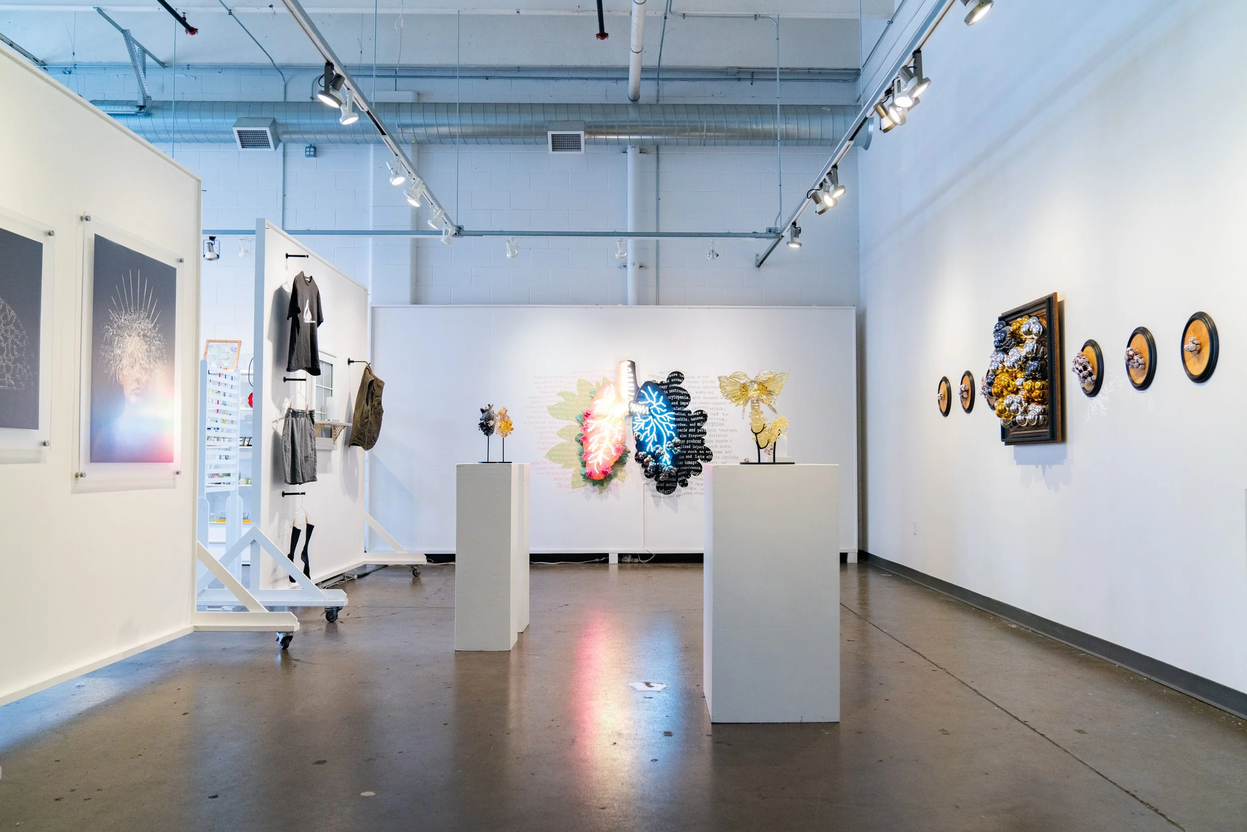 'Streptomyces' Solo Exhibition by MiNHi England