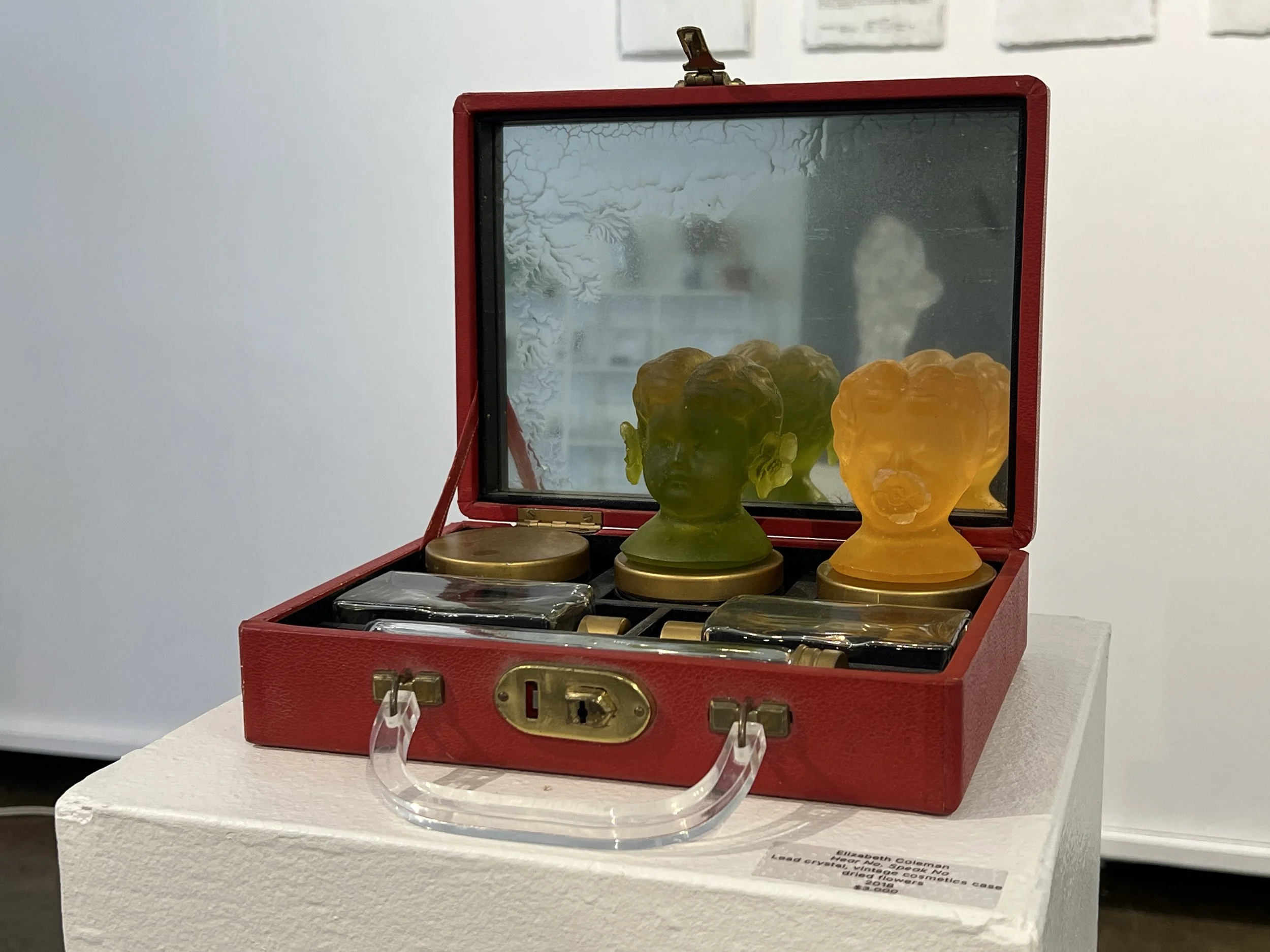 Hear No, Speak No by Elizabeth Coleman