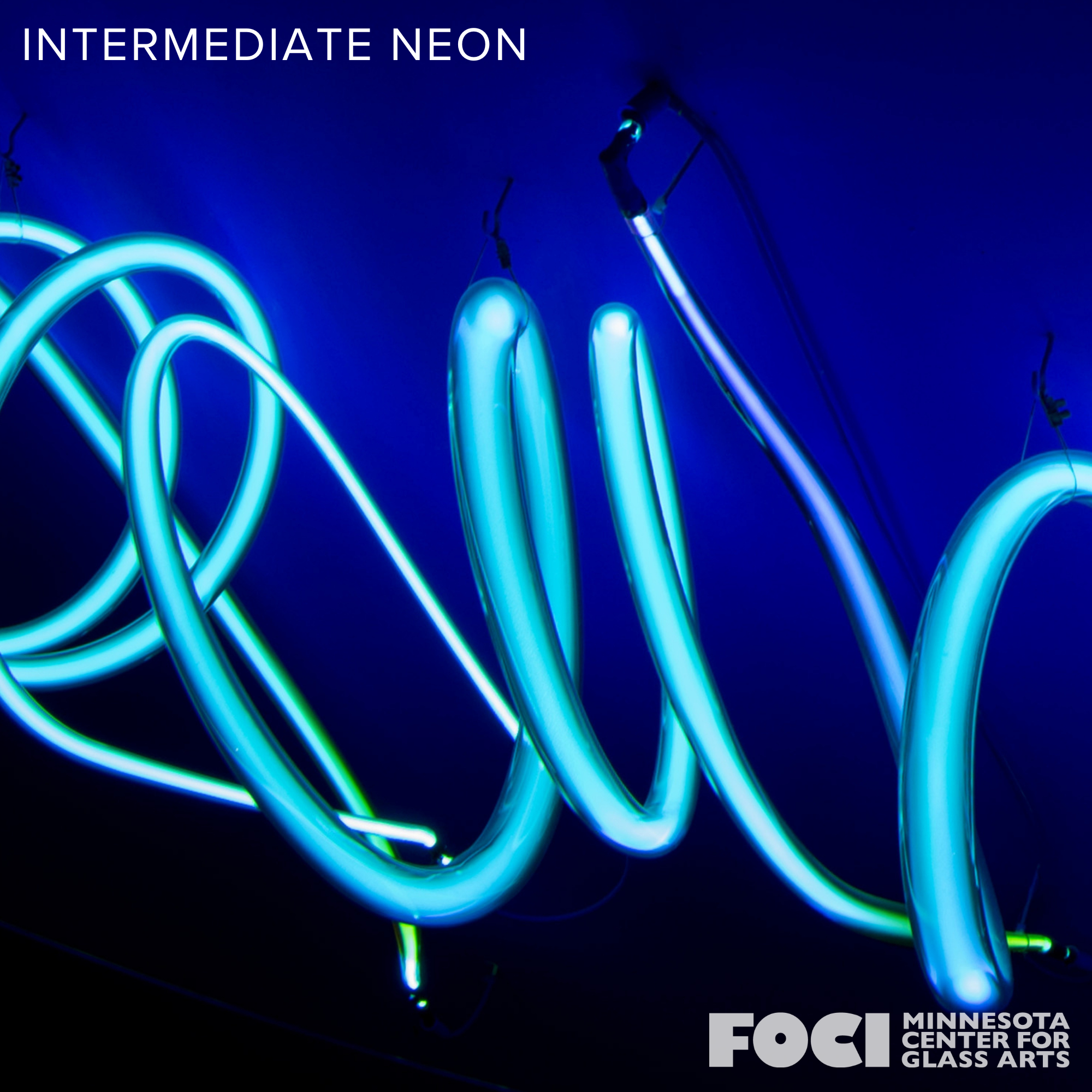Intermediate Neon Product Image (1).png