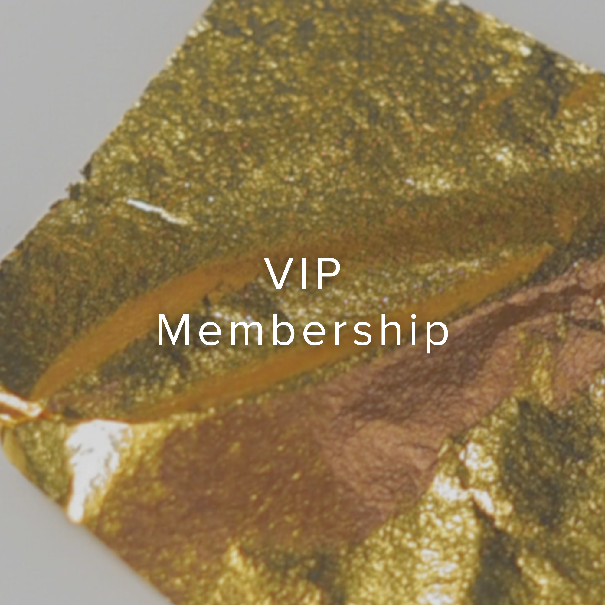 Annual VIP Membership
