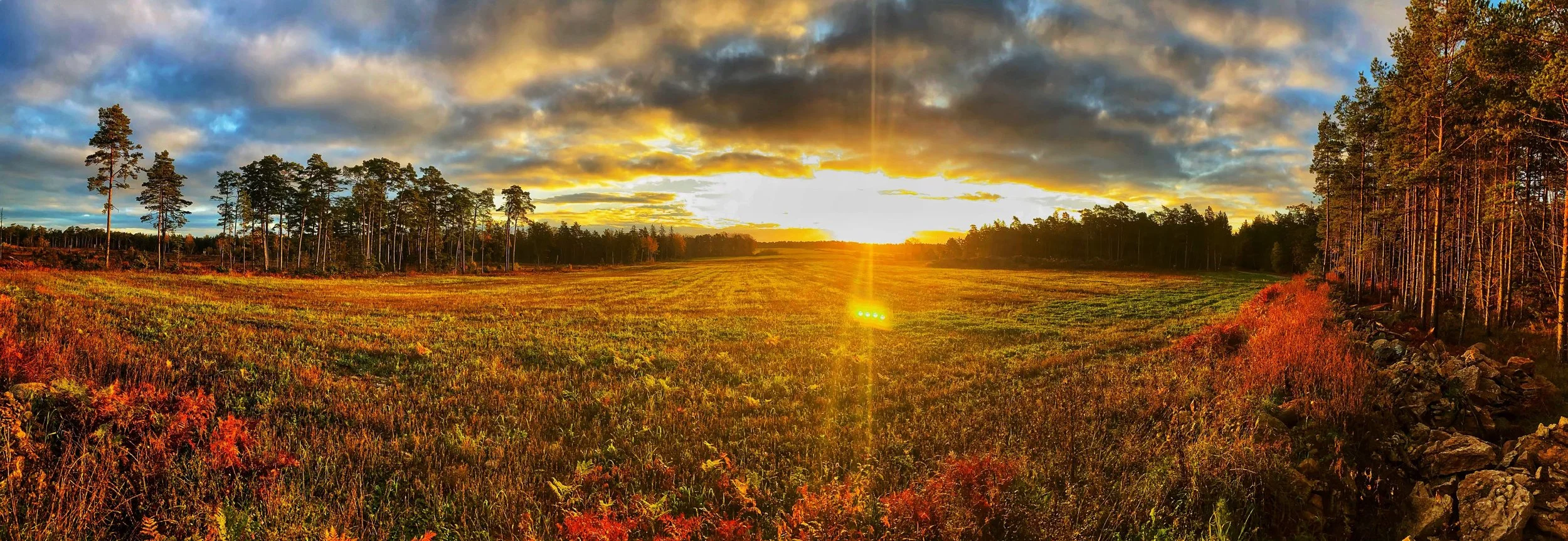 Nu startar vi upp på Gotland