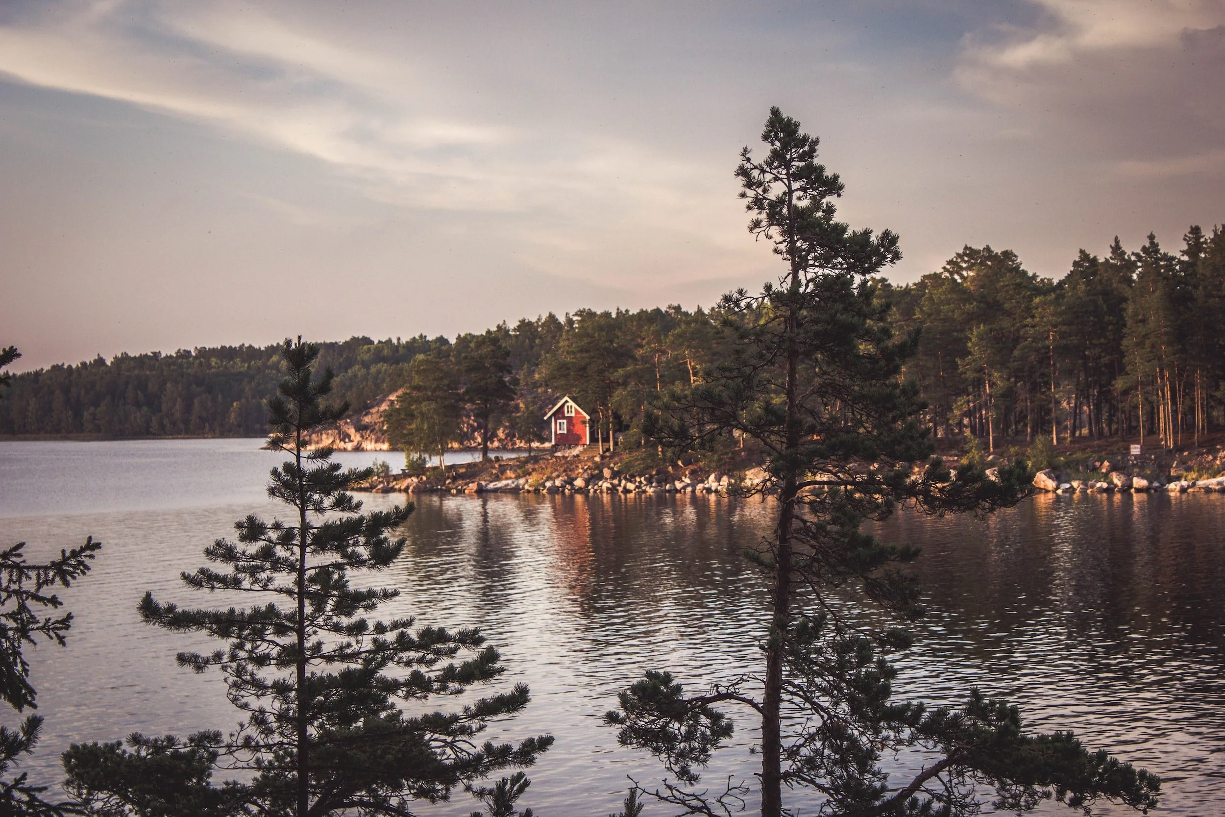 unsplash-image-IAe4R_RiB08.jpg
