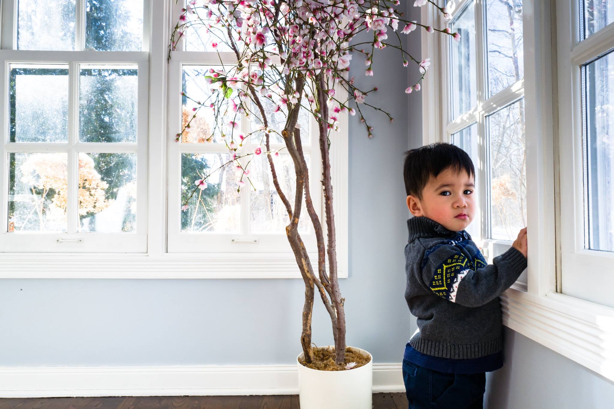 My first shot with the Leica Q, Noah looking from the window.