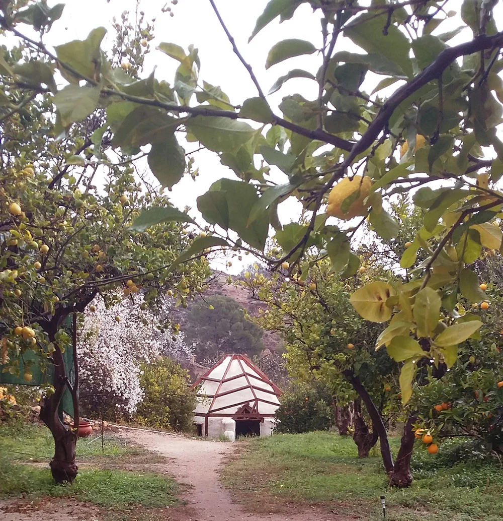 One of the beautiful rustic guest houses for the yogi's on retreat. All hand crafted  by Elliot