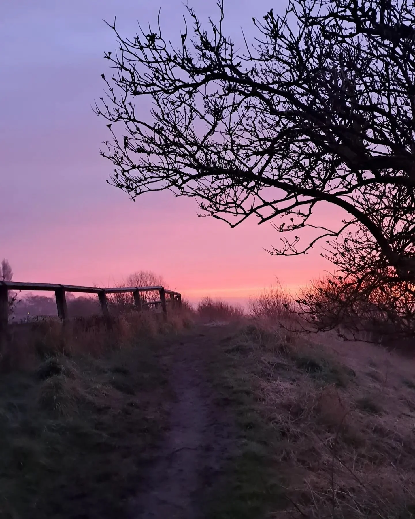 We don't only belong to the human world. We belong to the more than human world, too. 
It's important to remember how restorative this natural world can be. When we tire of false lighting, traffic noise, and even people, there is a wider mycelium of