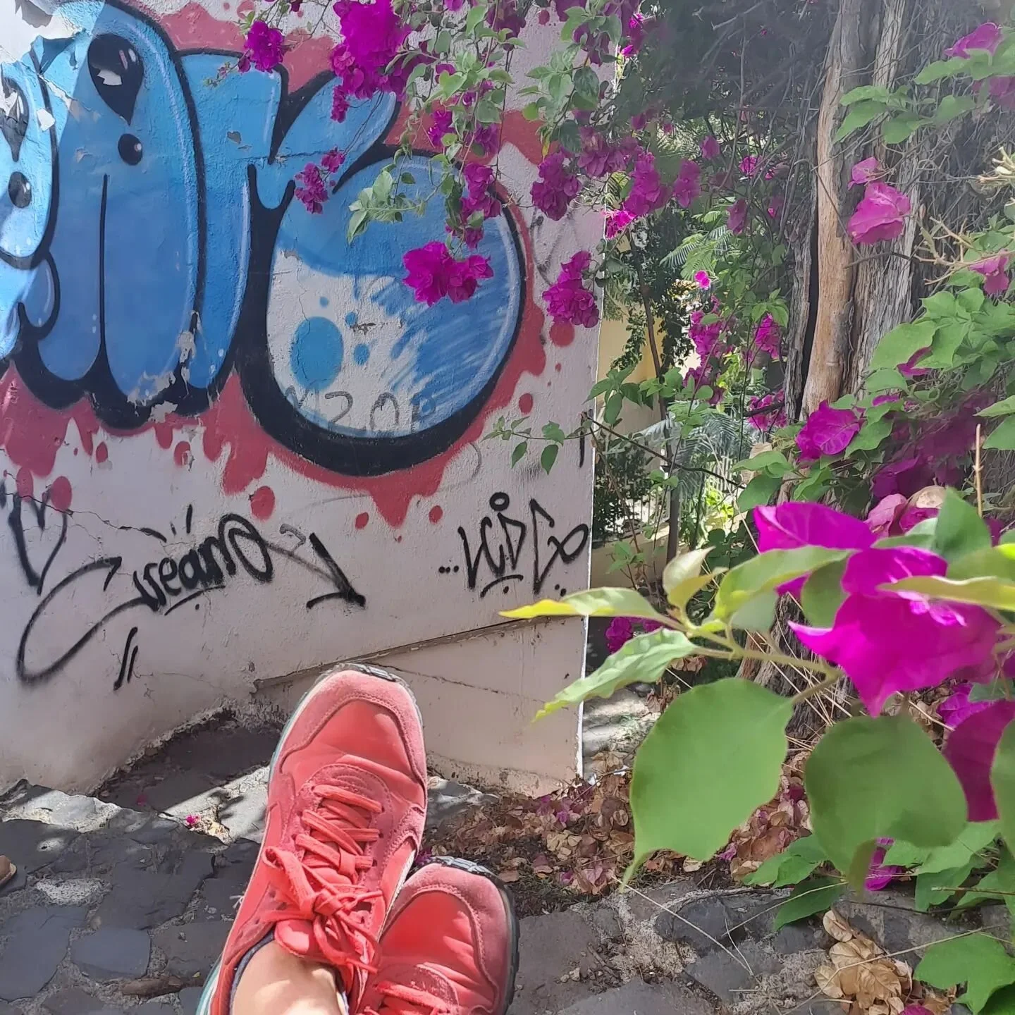 Beauty and Light. I think these two things could enchant me forever. 
Even though its been grey here in the UK, its important to make the effort and get outside. To expose our eyes to the light each and every day. It makes a difference in mood and he