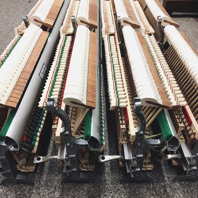 It's a Kawai UST-7 day here at the shop. #piano #Boise #pianotechnician @kawaipianos