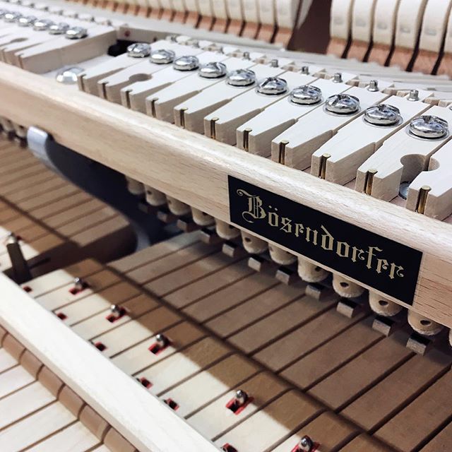 It's a B&ouml;sendorfer day in the shop today. #piano #boise #bosendorfer #beautiful