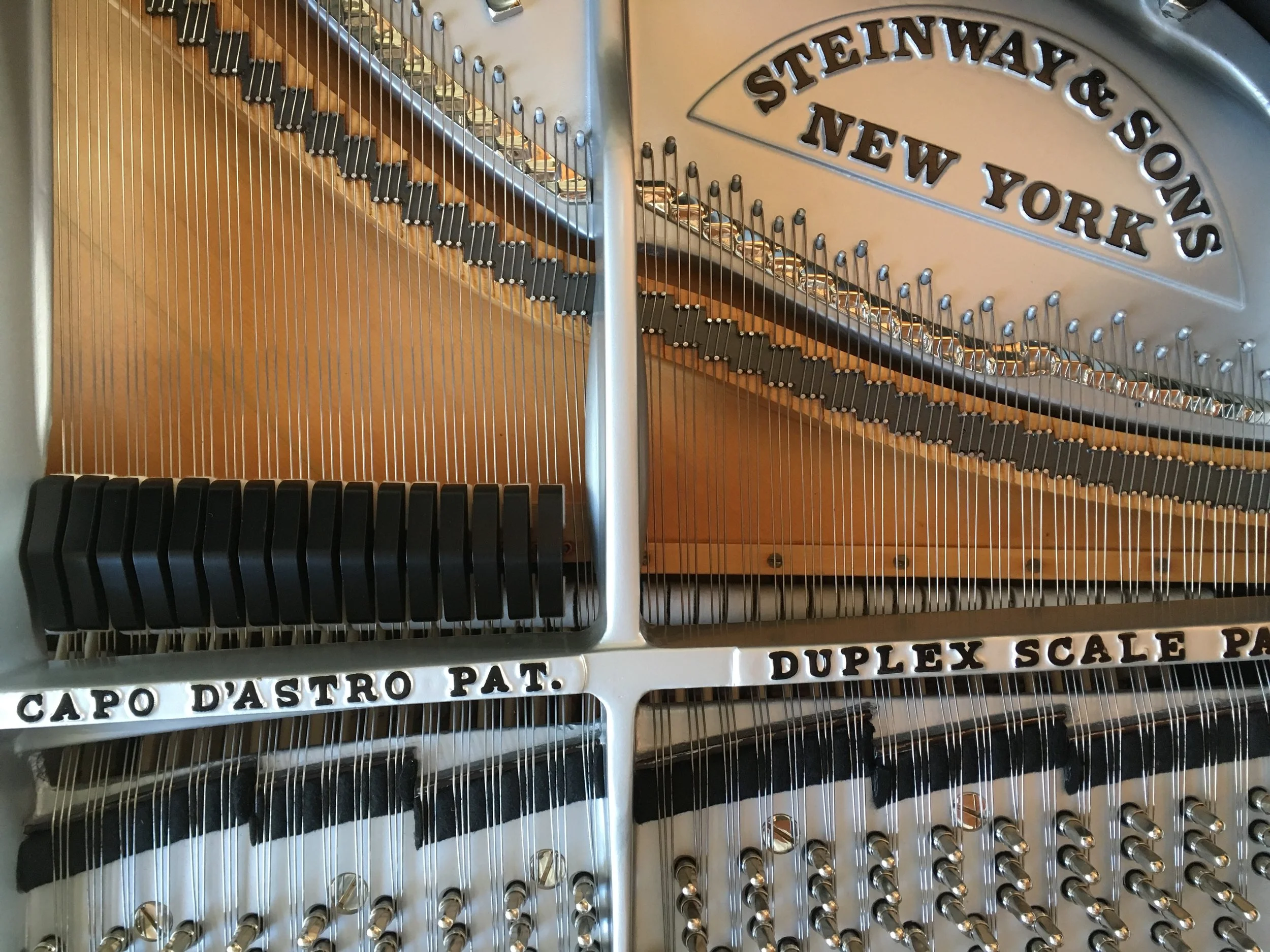 The piano tuning pins can be seen along the bottom edge of the photo above.