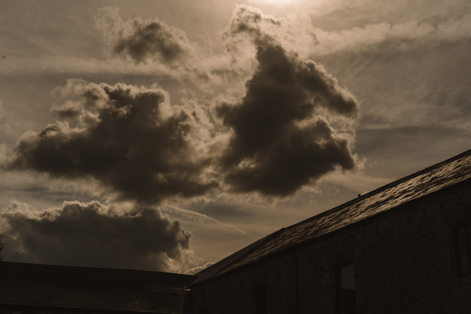 Tara-Sam-ANRAN-Devon-(Flashbulb)0498.jpg