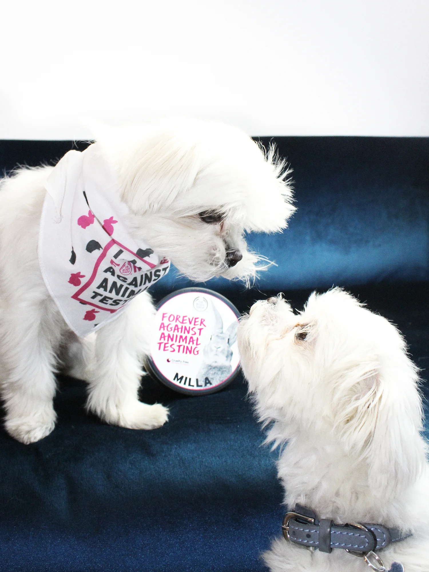 THE BODY SHOP FOREVER AGAINST ANIMAL TESTING CAMPAIGN