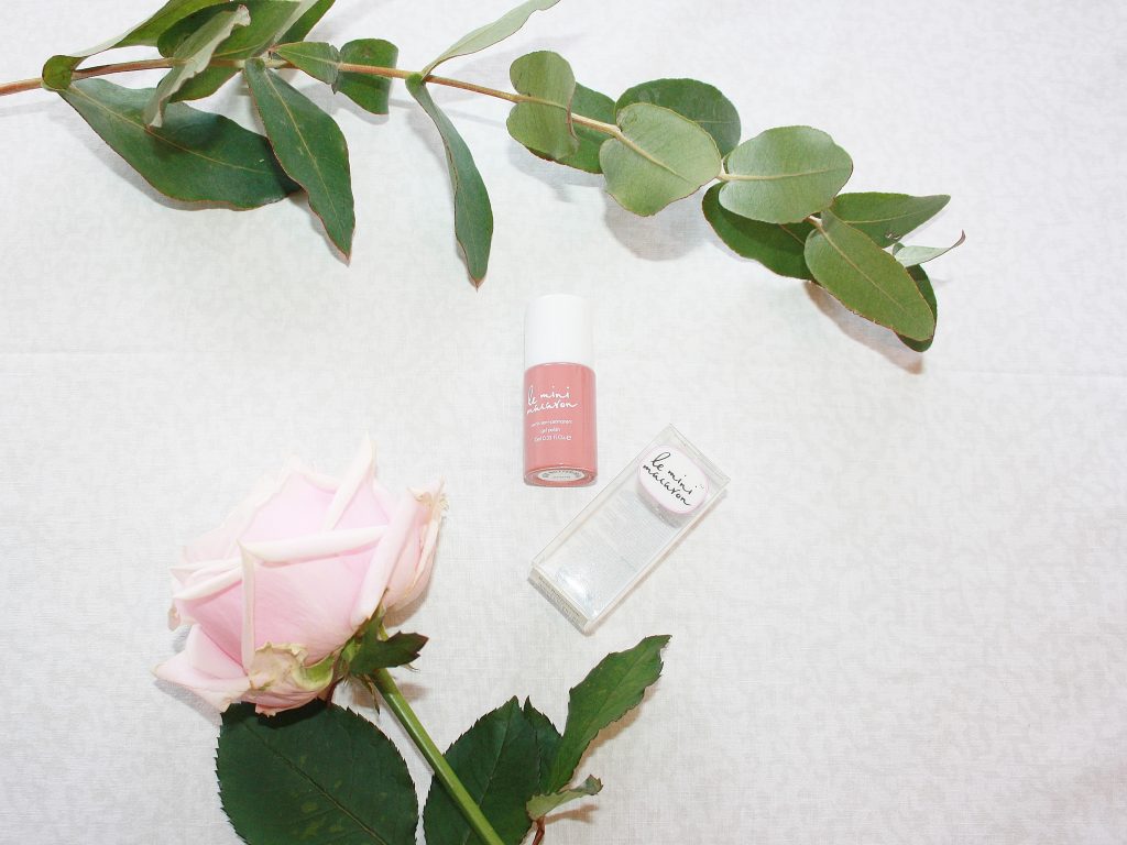 Le Mini Macaron x Lises-blog.dk