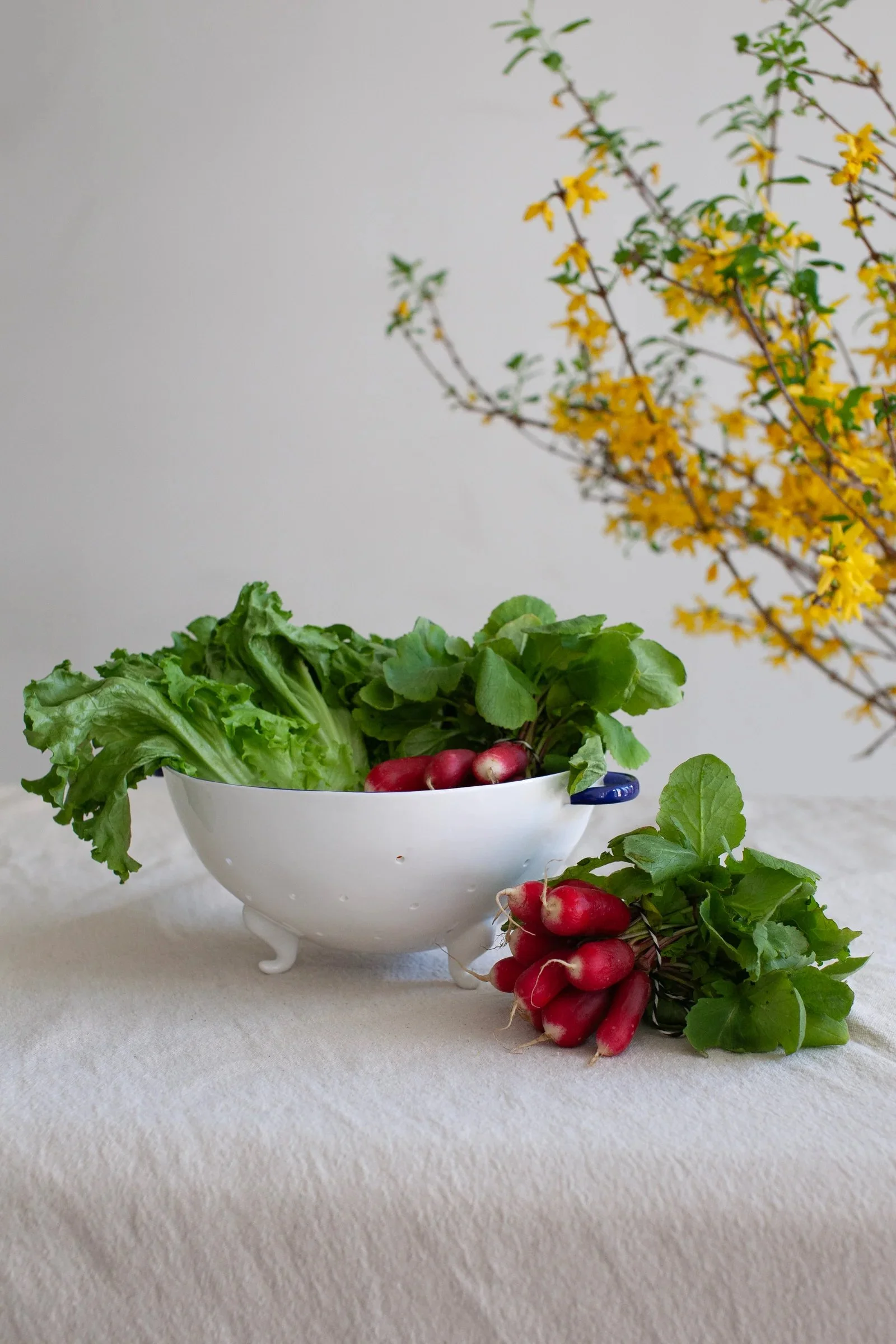 Radish.jpg