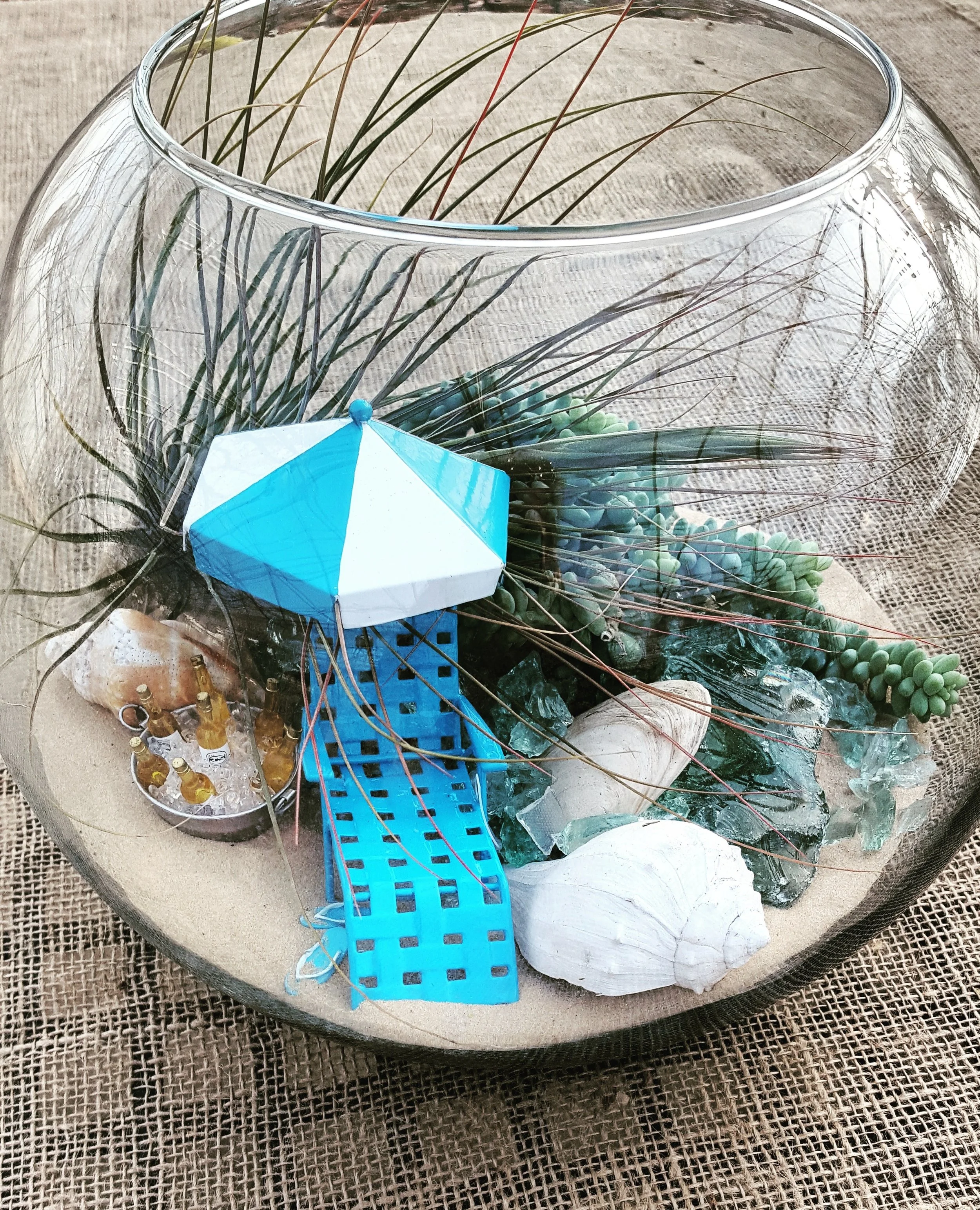 Trendy Terrariums