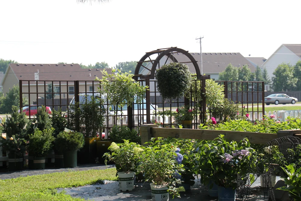 Gallery- Sailer's Greenhouse