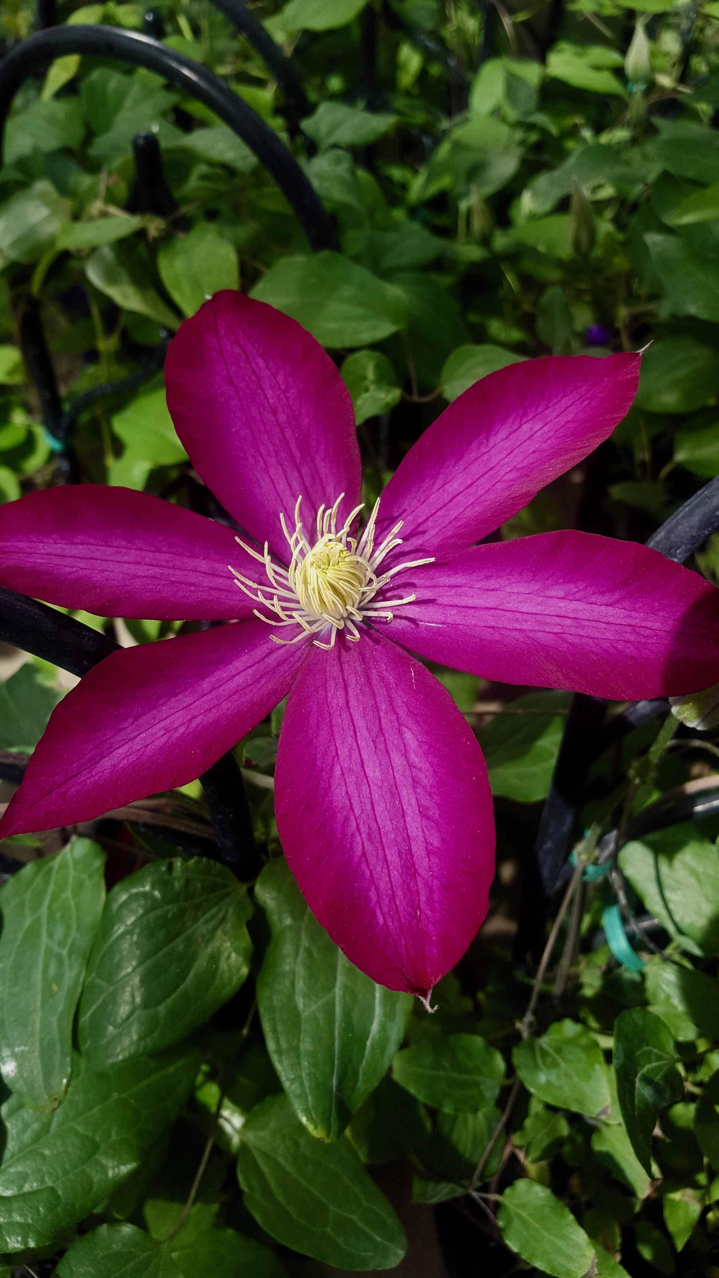 20170428_103843.jpg