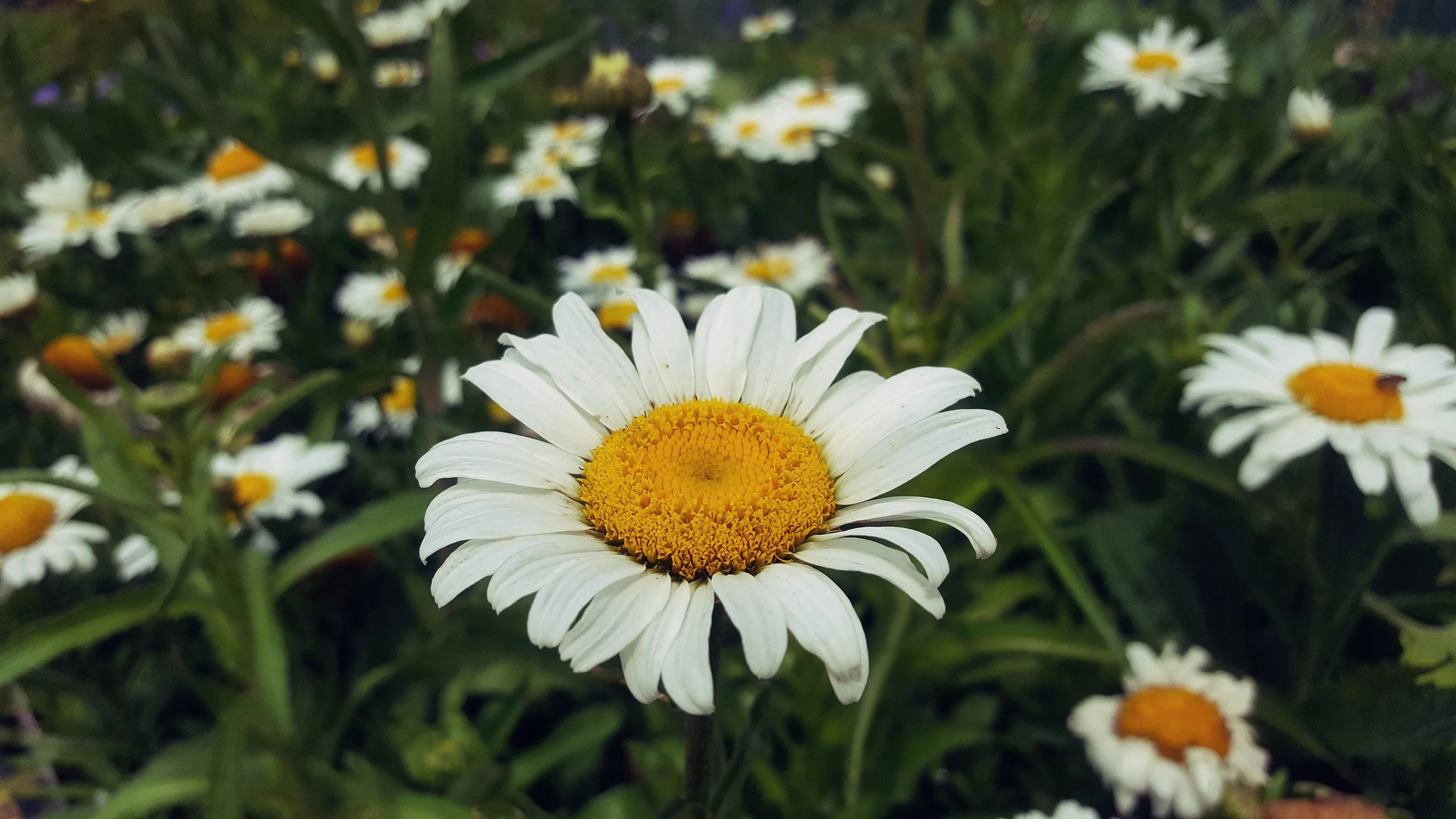 20170613_121841.jpg