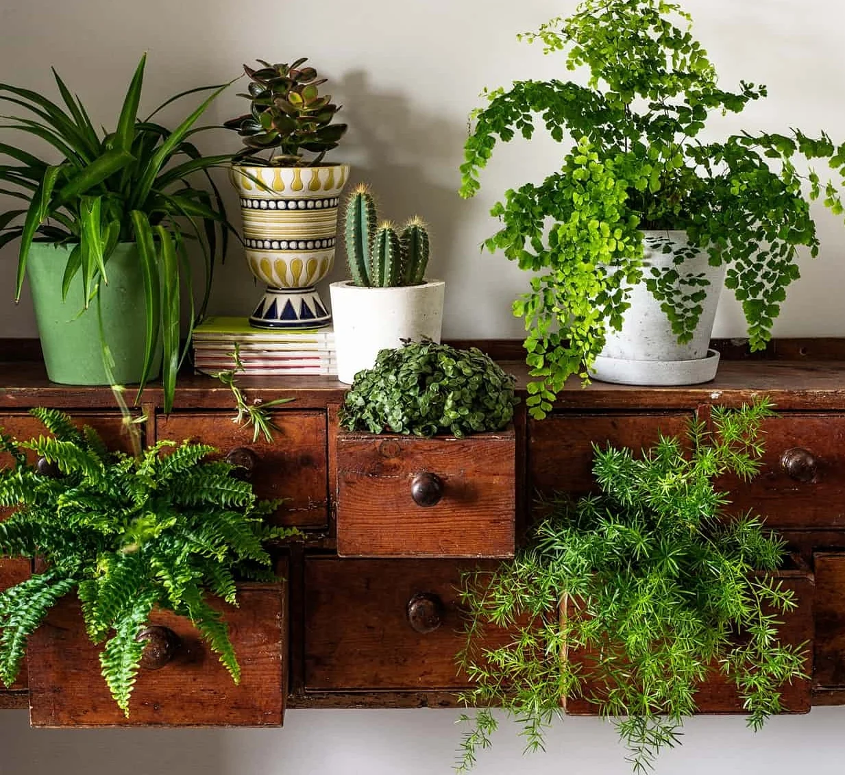 Happy Houseplant Workshop