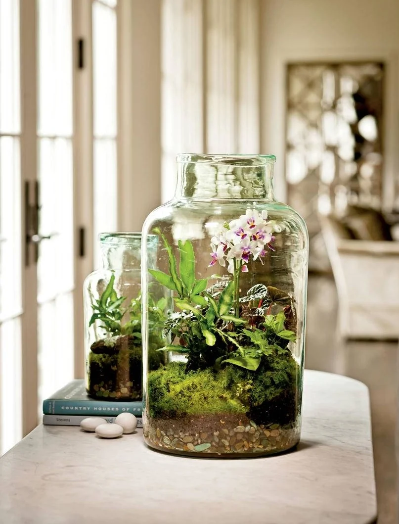Woodland Terrarium Workshop