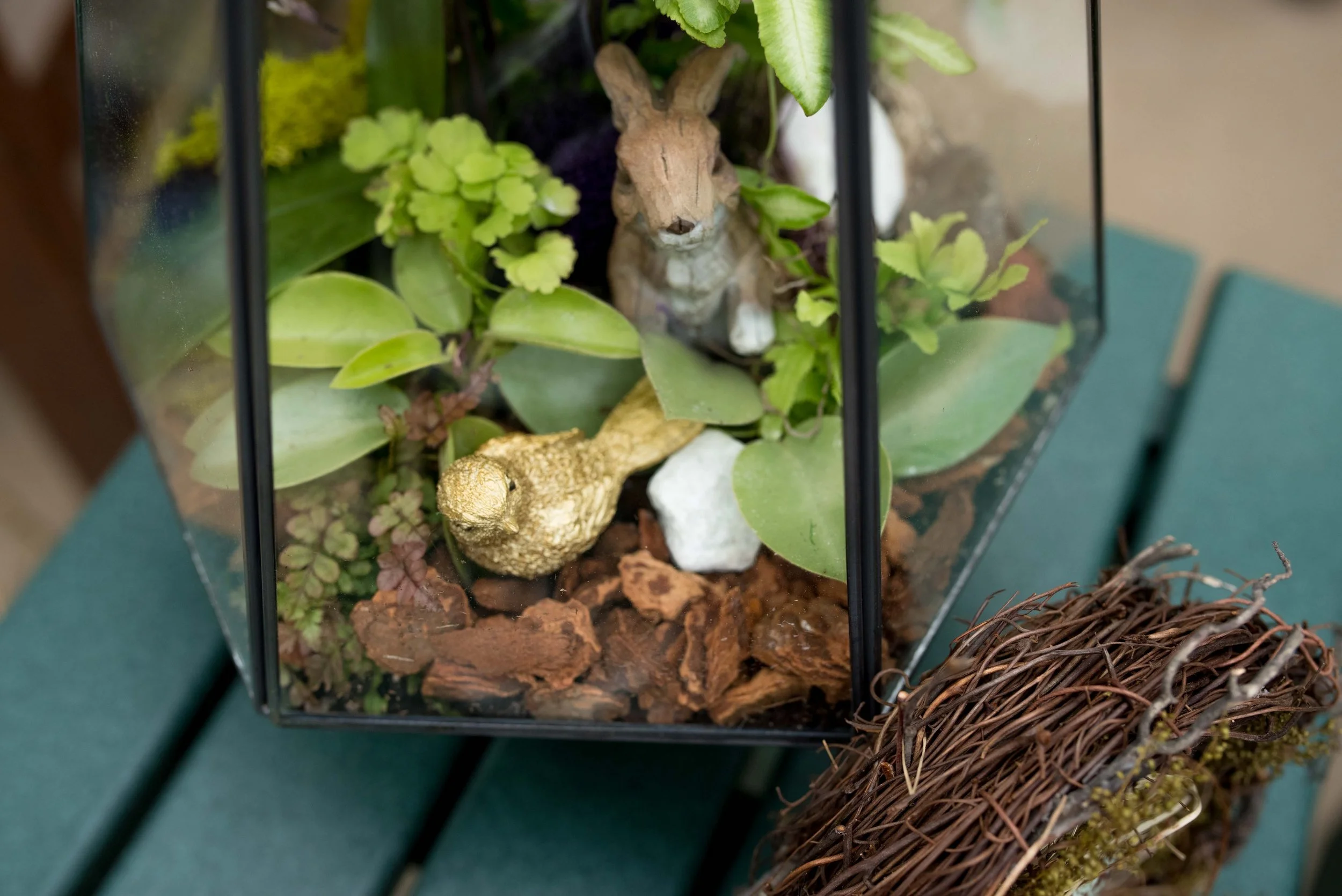 BTY greenhouse-0117.jpg