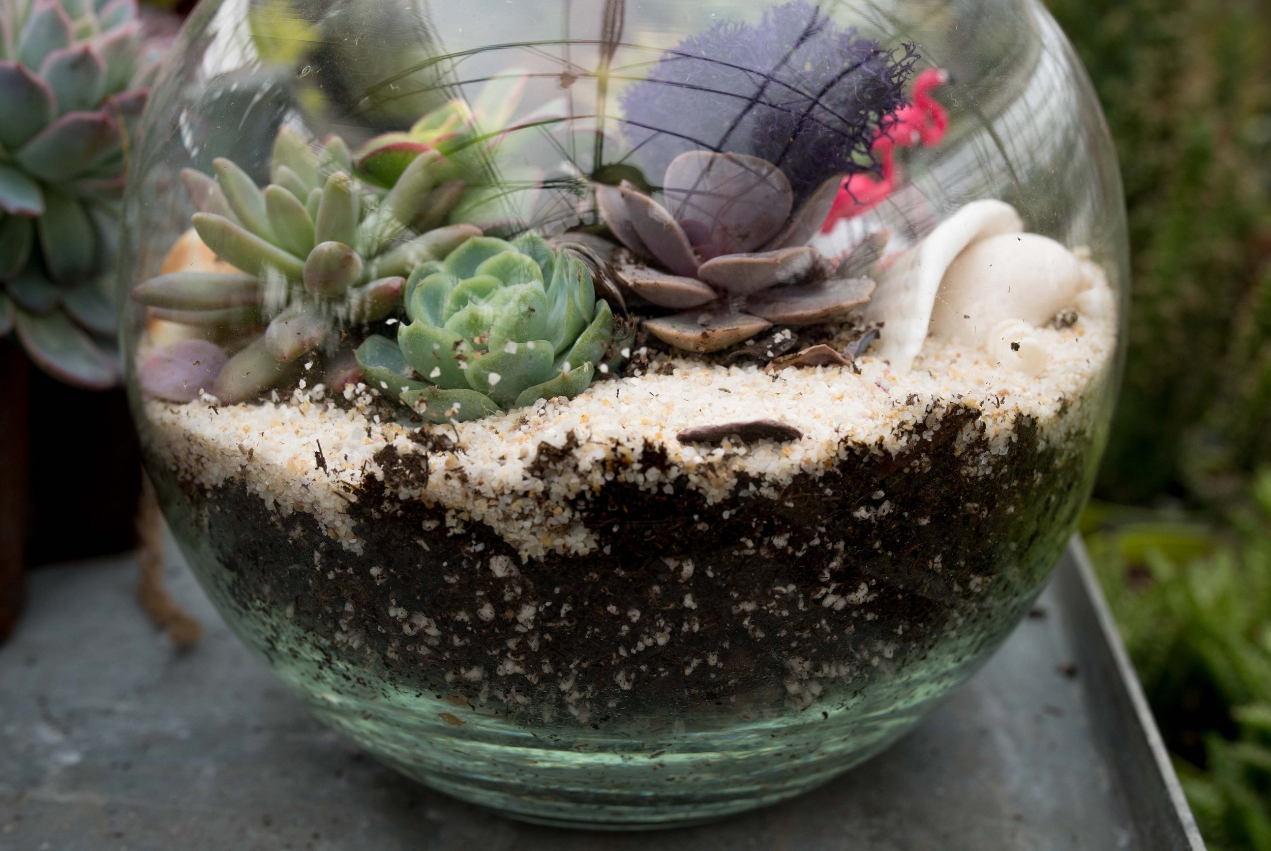 BTY greenhouse-BTY greenhouse-0125.jpg