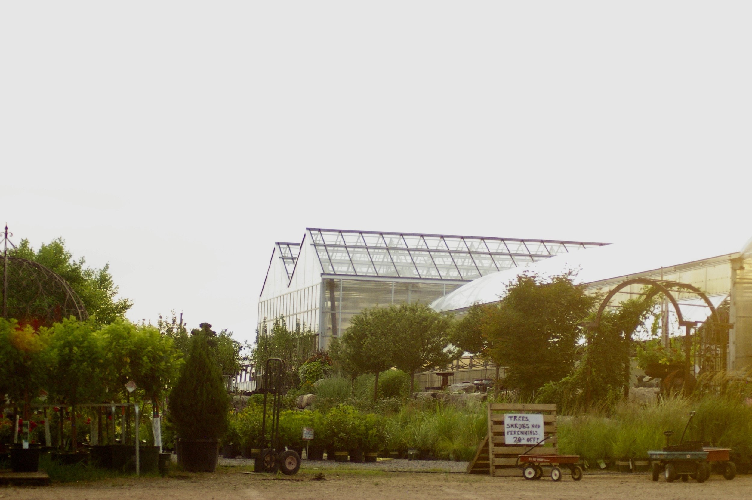 IMGP5659.jpg